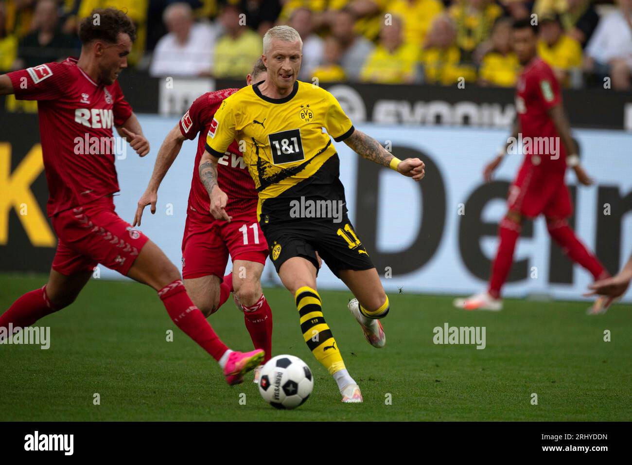 Marco REUS (DO) contre Luca WALDSCHMIDT (K), action, duels, soccer 1e Bundesliga, 1e journée, Borussia Dortmund (DO) - 1st FC Cologne (K) 1 : 0 le 19 août 2023 à Dortmund/ Allemagne. La réglementation #DFL interdit toute utilisation de photographies comme séquences d'images et/ou quasi-vidéo # Banque D'Images