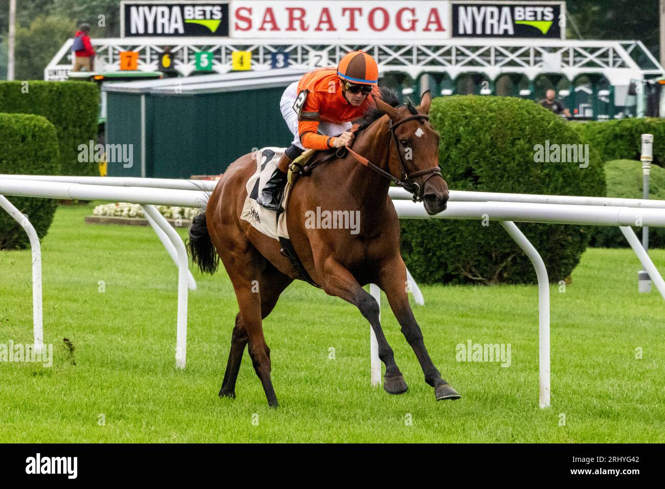 Saratoga Springs, États-Unis. 19 août 2023. 19 août 2023, Saratoga Springs, New York, USA : Afay (2) monté par Flavien Prat remporte les Lake Placid Stakes (2e année) au Saratoga Race course à Saratoga Springs, New York le 19 août 2023.Gary Johnson/Eclipse Sportswire/CSM/Sipa USA(image de crédit : © Gary Johnson/Cal Sport Media/Sipa USA) crédit : Live News Banque D'Images