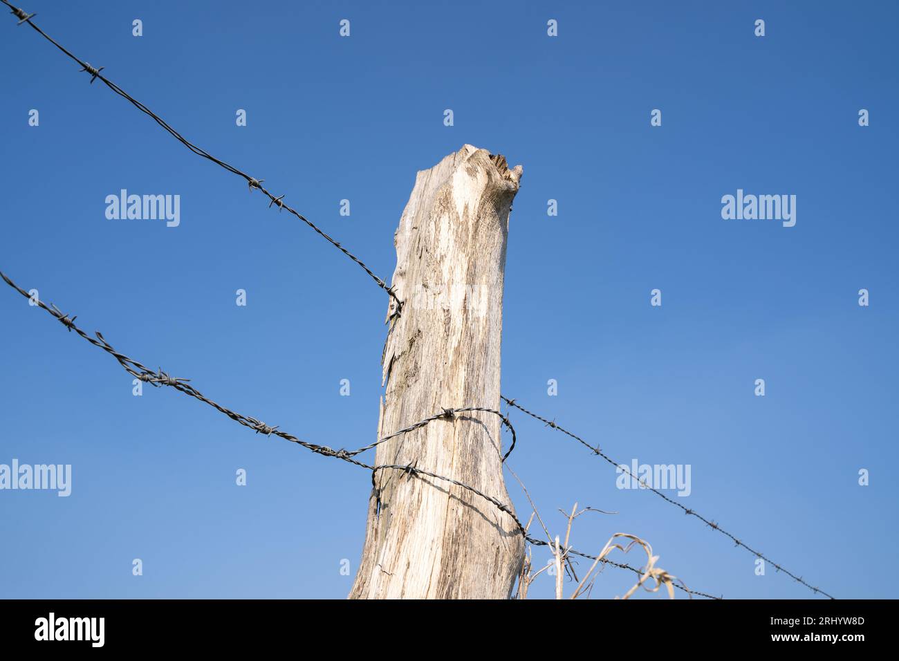 Clôture avec poteau en bois et fil barbelé dans le paysage sur une journée ensoleillée de printemps avec ciel bleu Banque D'Images