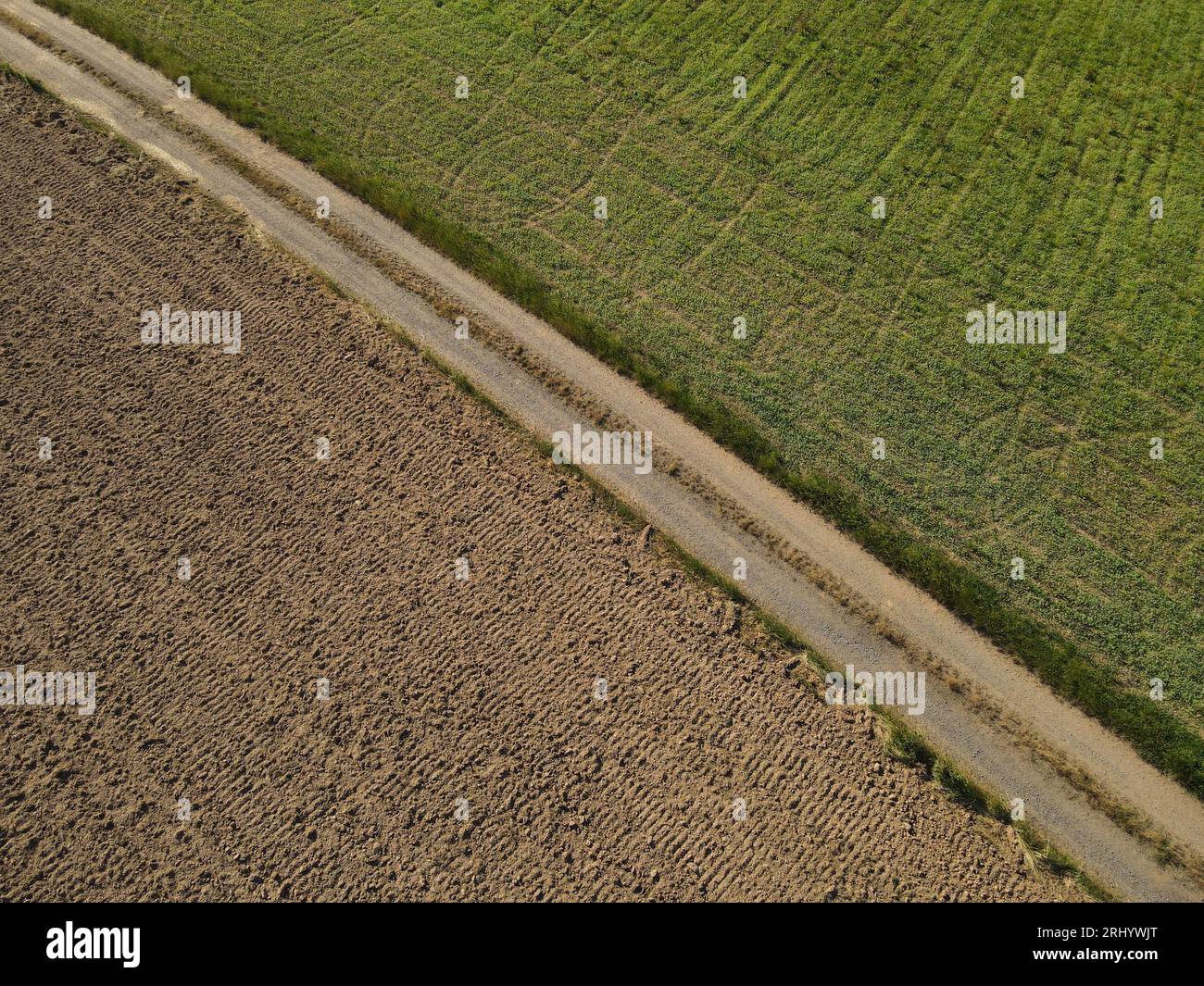 Chemin de terre dans le paysage entre le champ de culture verte et le champ de terre brune Banque D'Images
