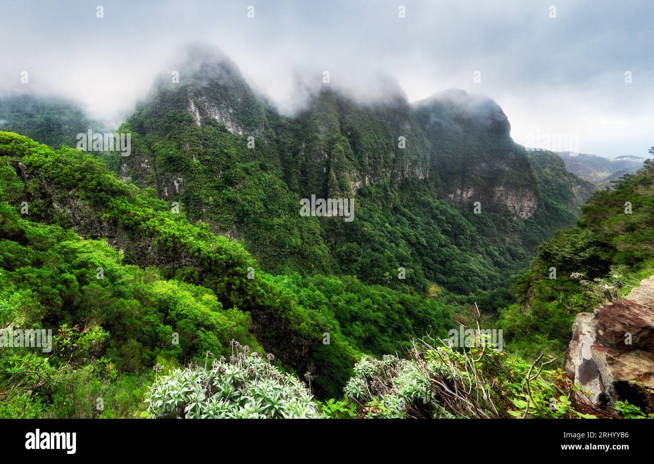Paysage de forêt tropicale de montagne. Vue sur les montagnes sur la route Queimadas Forestry Park - Caldeirao Verde. Île de Madère, Portugal, Europe. Banque D'Images