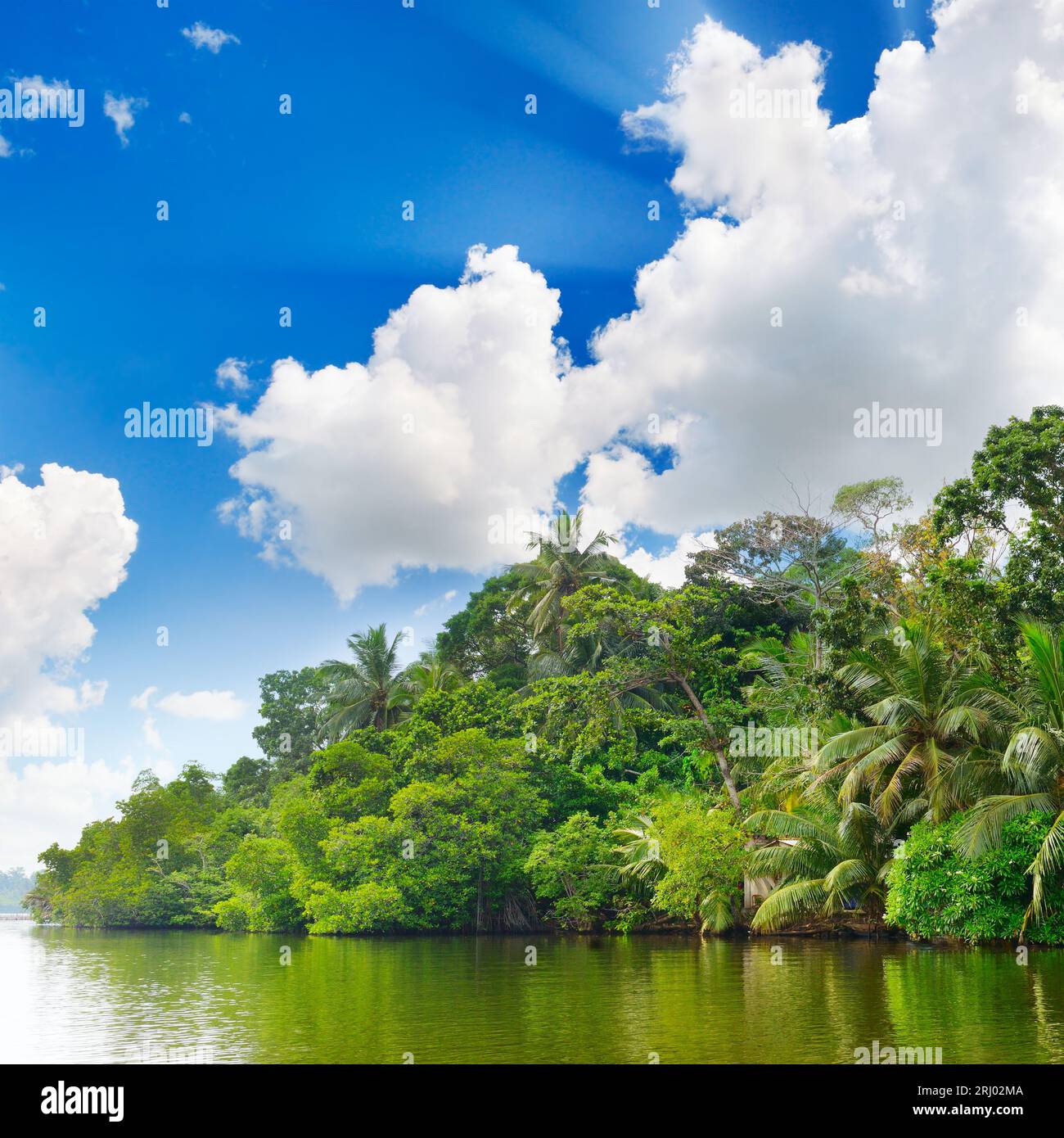 Lake dans la jungle et ciel bleu Banque D'Images