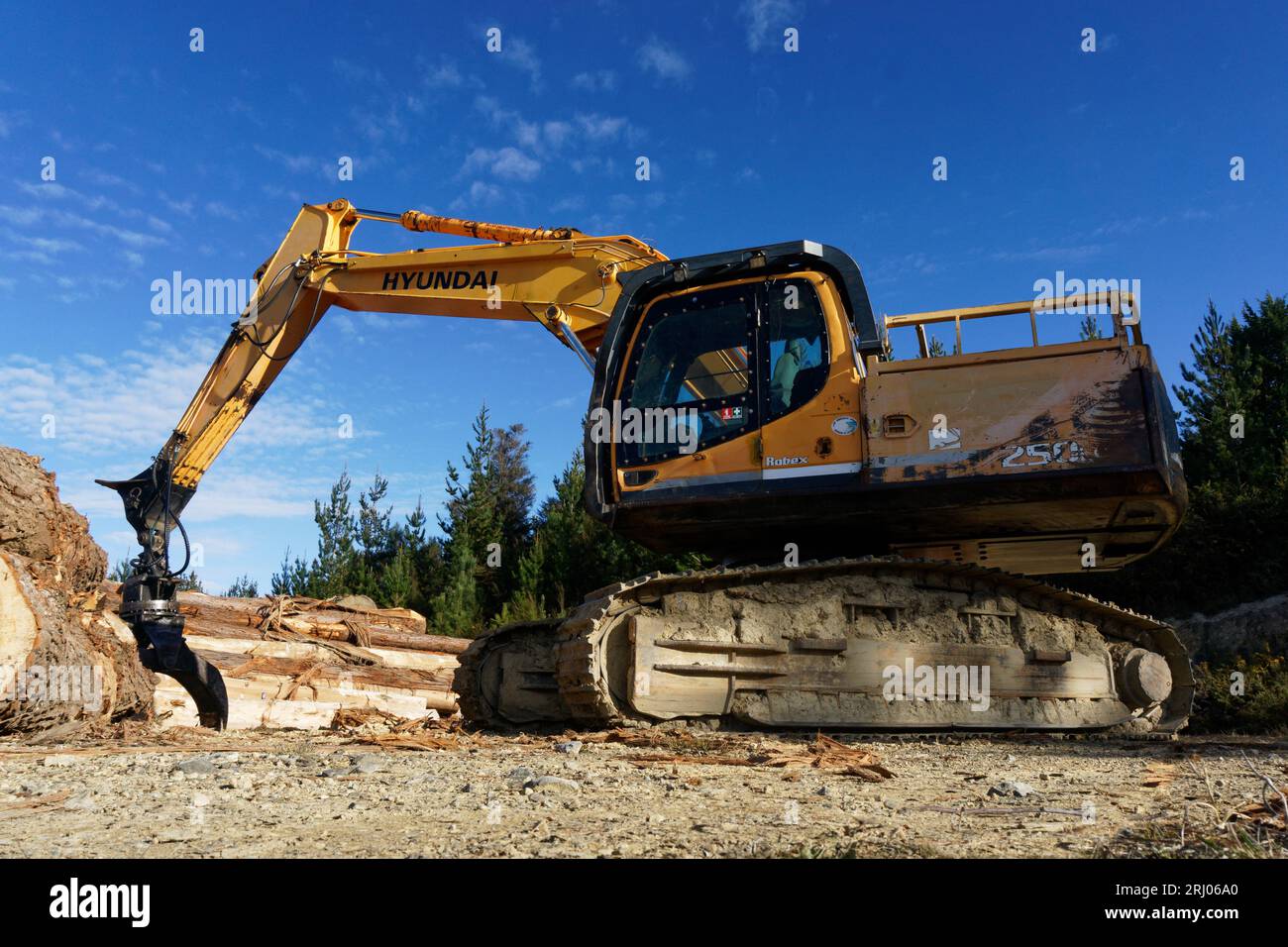 Tasman region, Aotearoa / Nouvelle-Zélande - 12 août 2023 : une usine de bois dans une forêt de plantation broyant des grumes de gomme bleue en planches. Banque D'Images