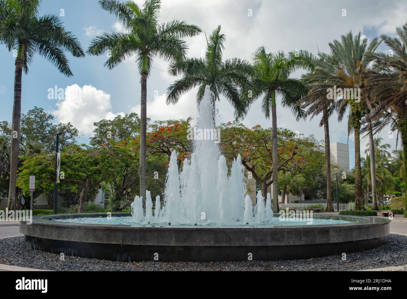 Fontaine d'eau dans le sud de la Floride avec le palmier coconot en arrière-plan sur le ciel lumineux. Banque D'Images