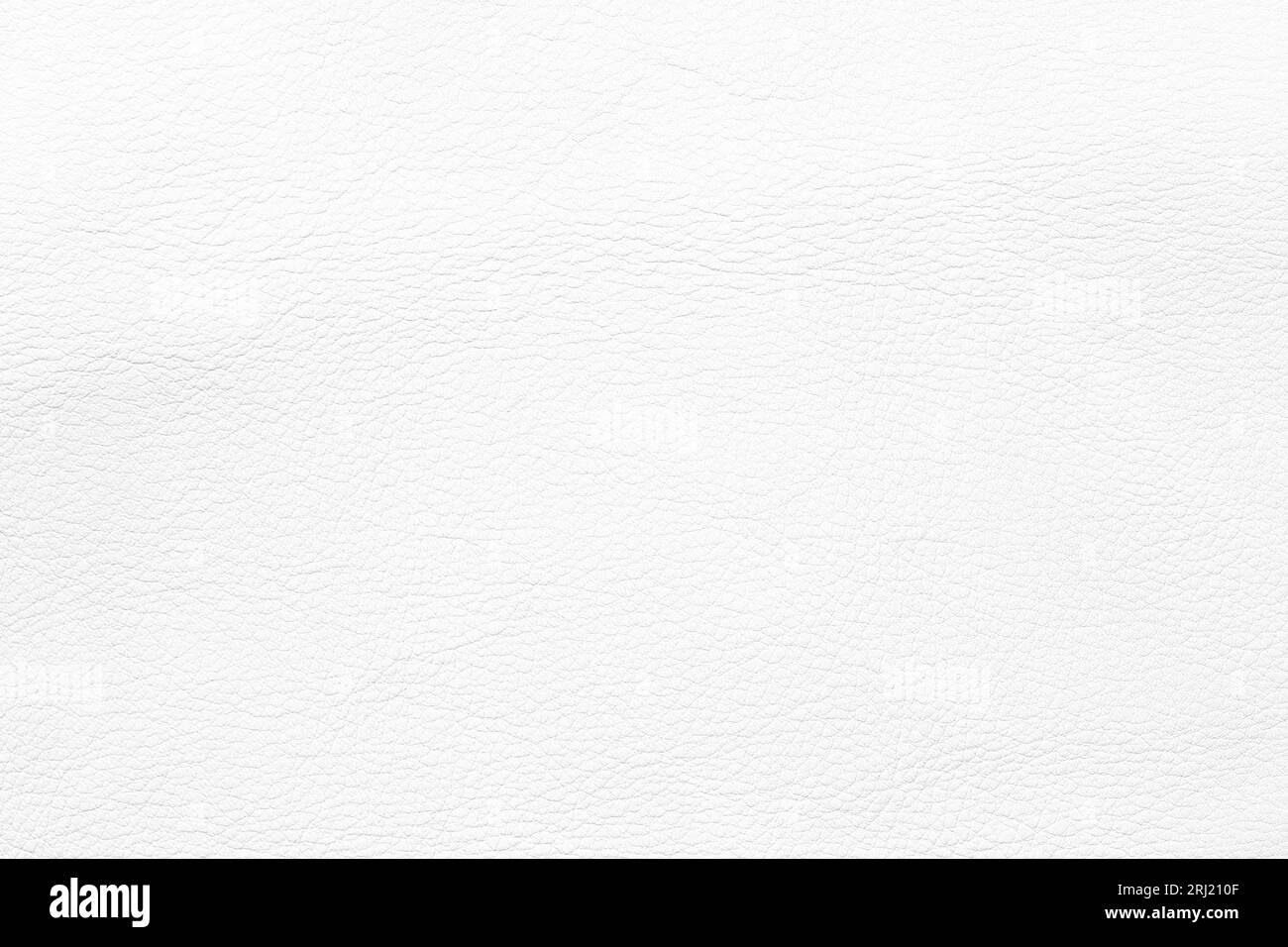 Texture en cuir naturel, fond blanc avec espace vide Banque D'Images