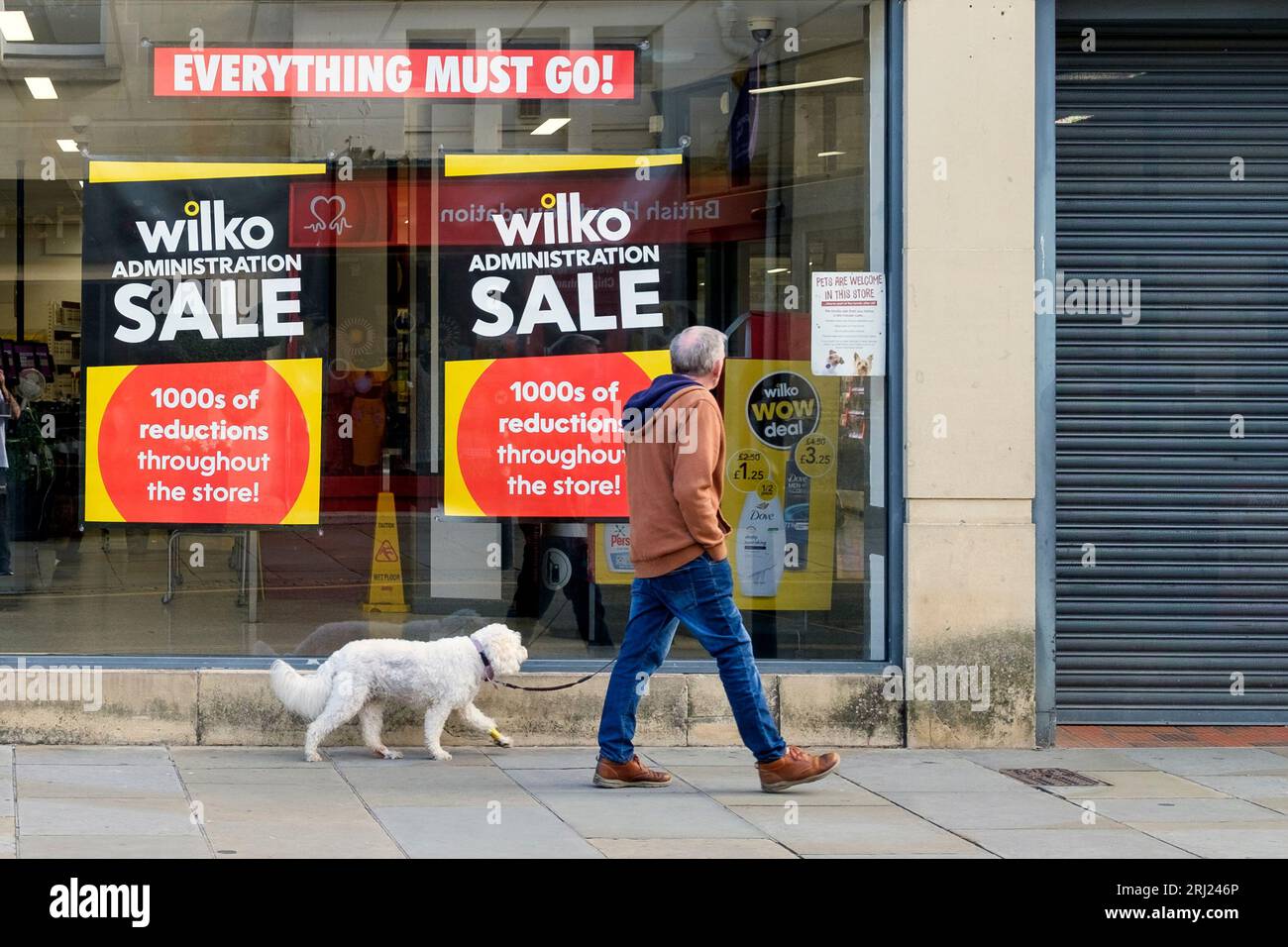 Chippenham, Wiltshire, Royaume-Uni, 20 août 2023. Un homme est représenté marchant devant les panneaux de vente «tout doit aller» sur une vitrine de magasin Wilko à Chippenham, Wiltshire. Après s'être officiellement effondrée dans l'administration, la chaîne de discount Wilko a lancé des remises sur des centaines de produits dans ses magasins tandis que les administrateurs évaluent les offres de sauvetage. Crédit : Lynchpics/Alamy Live News Banque D'Images