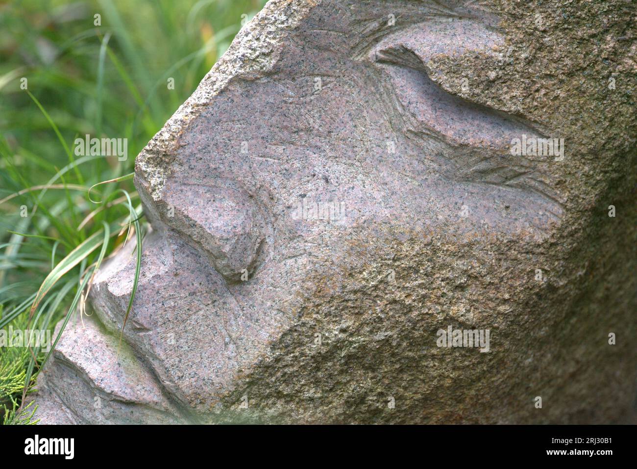 Le visage de pierre d'un homme Banque D'Images