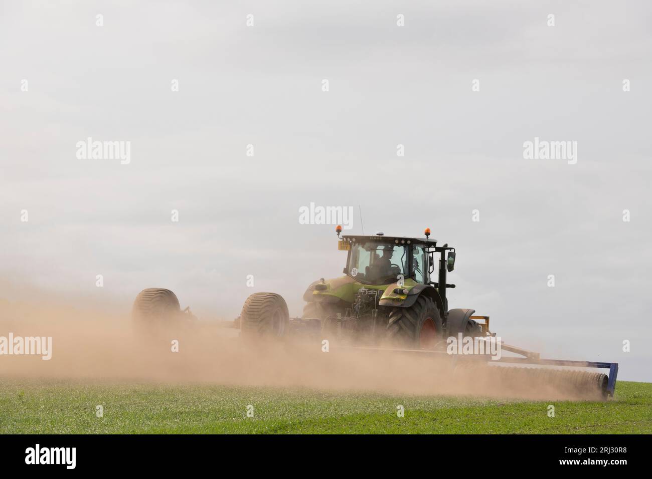 Un tracteur Claas roulant de l'orge de printemps dans un champ sec à l'aide d'un rouleau Dalbo Powerroll 1530 Banque D'Images
