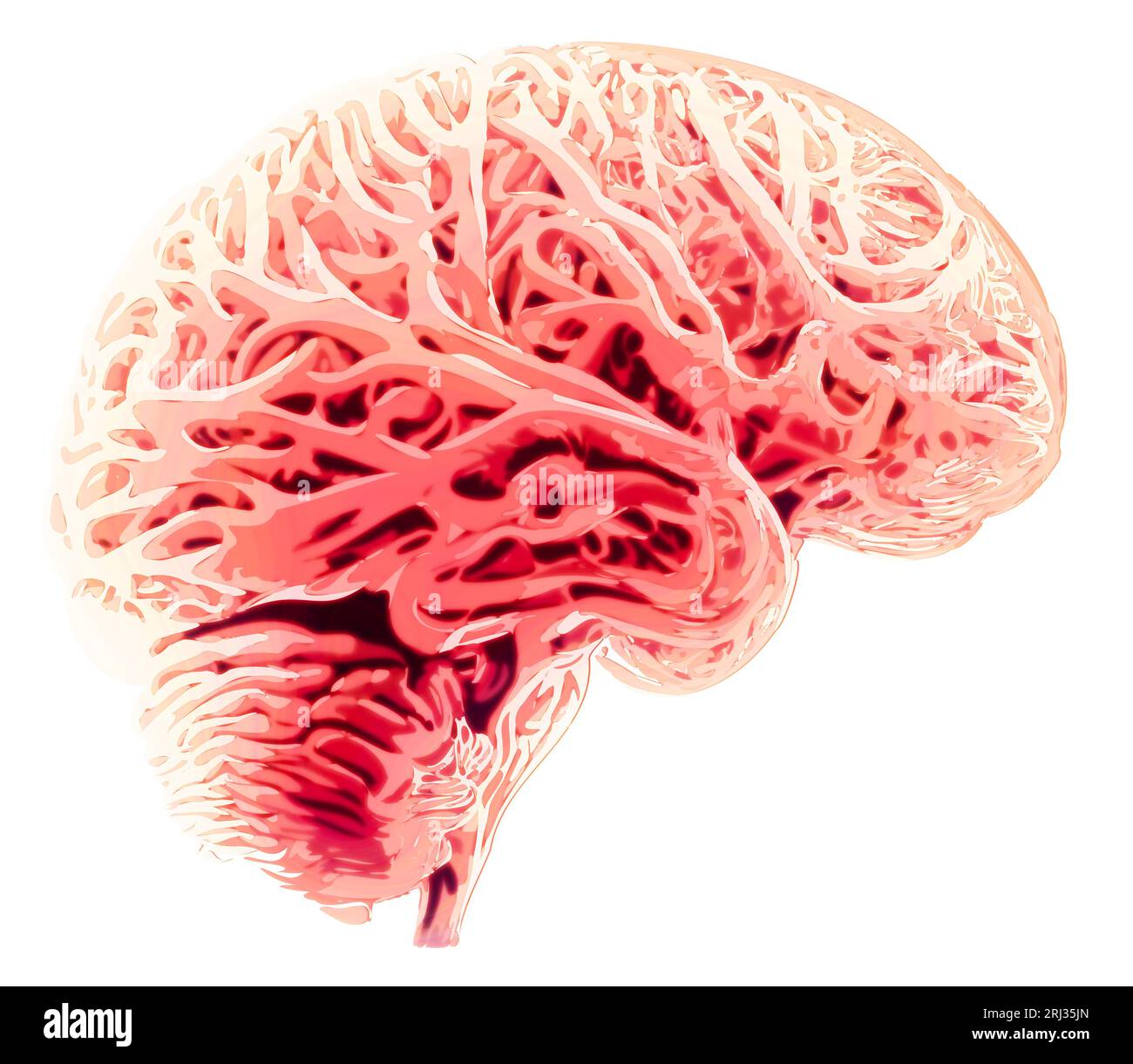 Vue latérale d'un cerveau, dessin. Maladies dégénératives du cerveau, Parkinson, synapses, neurones, Alzheimer Banque D'Images