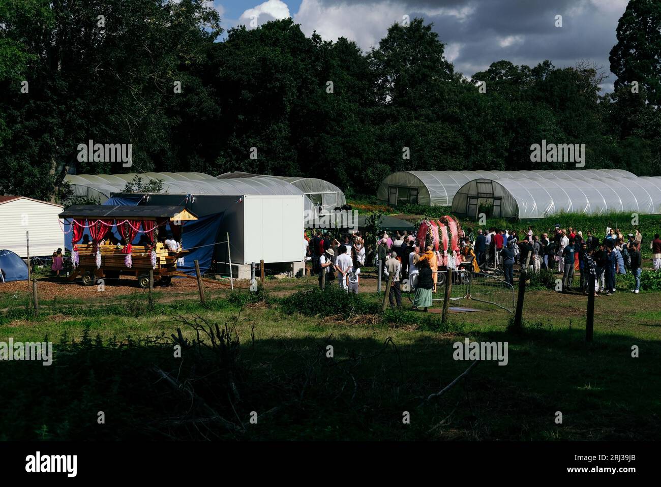 20 août 2023. Bhaktivedanta Manor célèbre ses 50 ans avec une procession de boeufs peints et de vaches, tandis que les dévots de Hare Krishna chantent et dansent leur chemin avec eux. Crédit : Simon King/Alamy Live News Banque D'Images