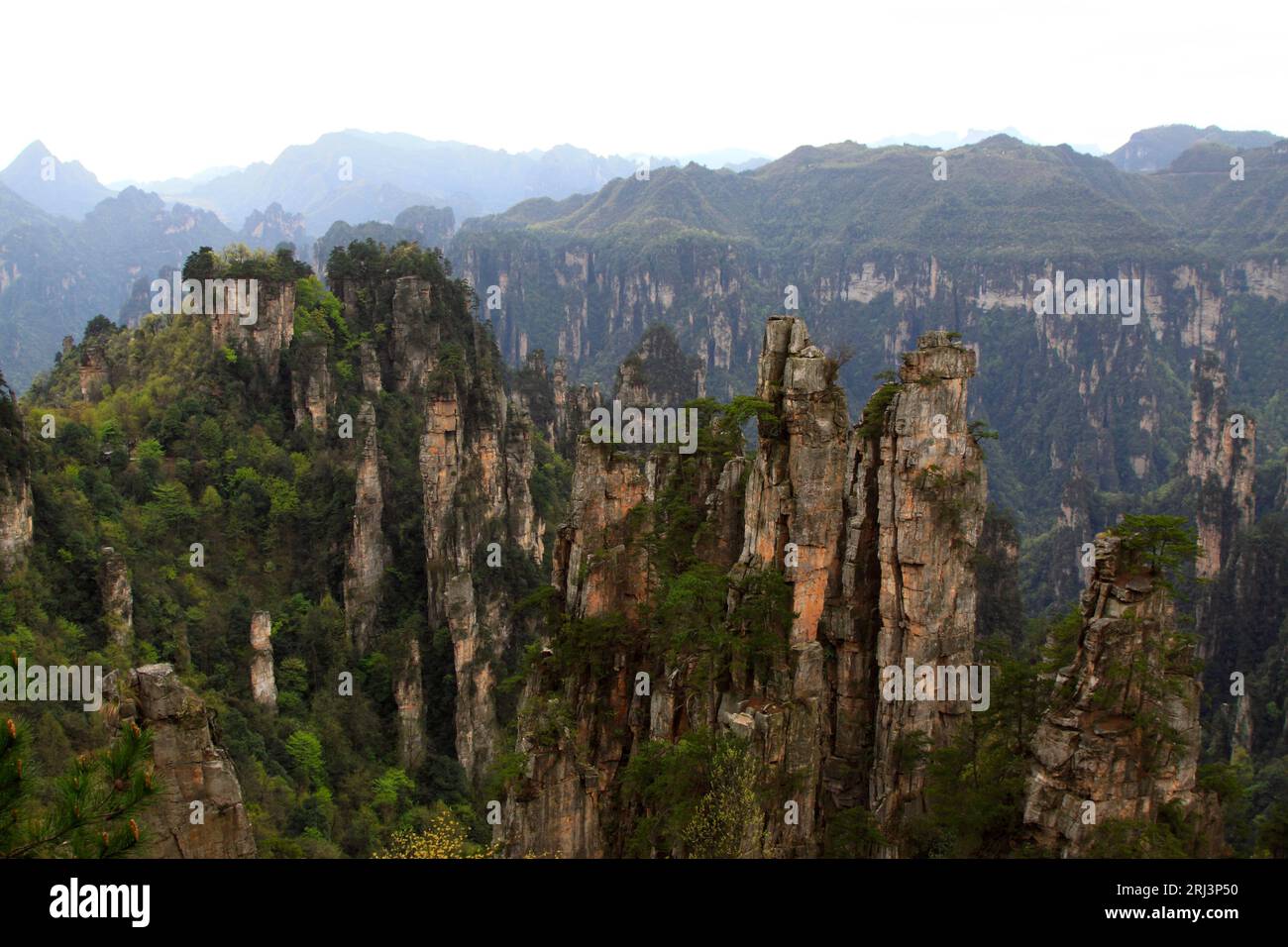 Ville de Zhangjiajie, avril 13 : paysage naturel de la montagne TianZi le 13 avril 2012, ville de Zhangjiajie, Hunan, Chine Banque D'Images