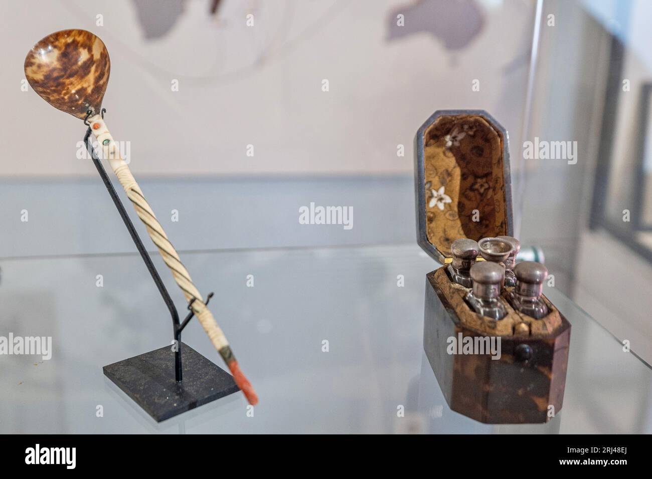 Kélonia, centre de soins aux tortues marines à la Réunion, dédié à la réhabilitation, à la conservation et à l’éducation à la protection de la vie marine. Banque D'Images