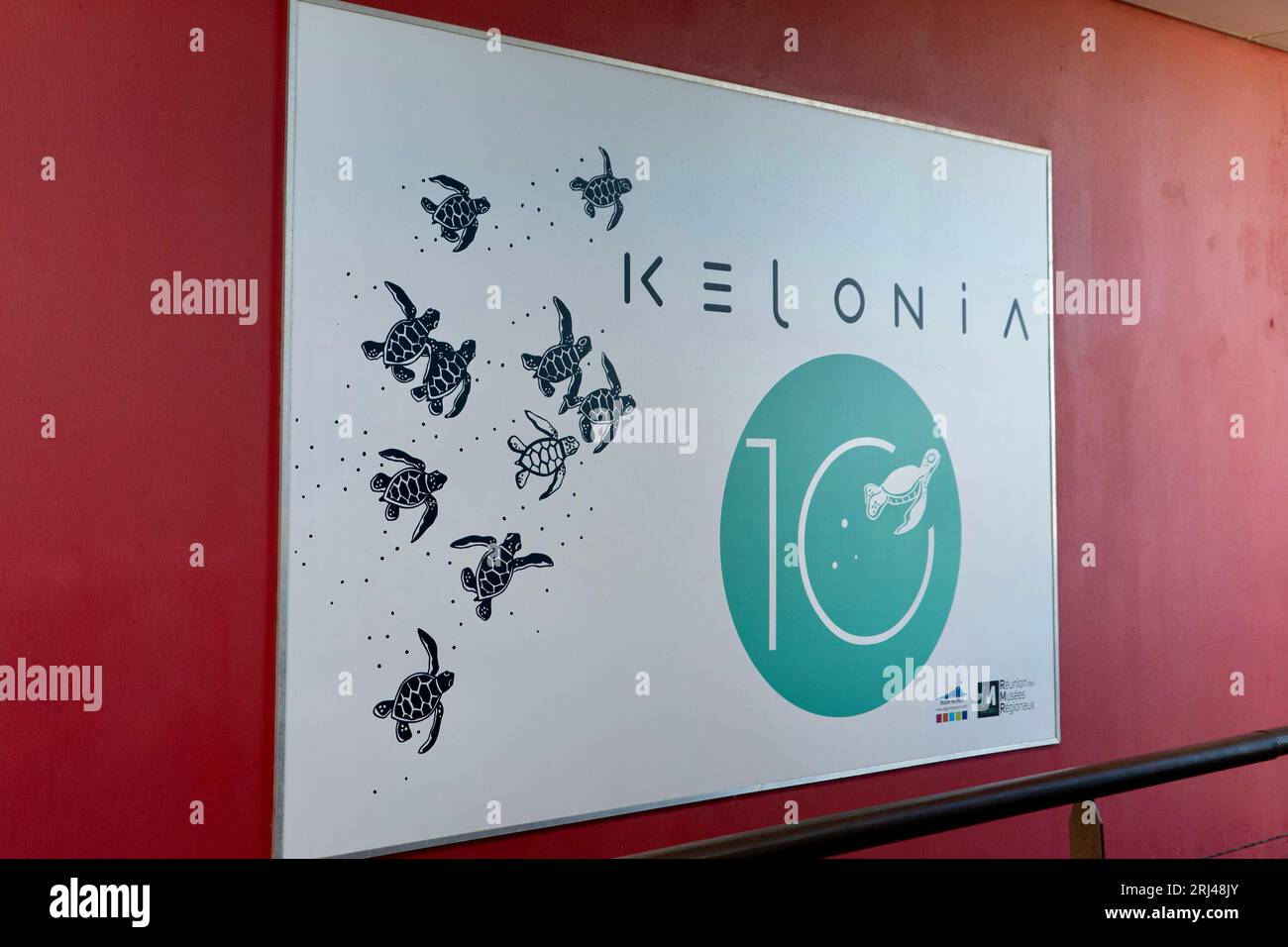 Kélonia, centre de soins aux tortues marines à la Réunion, dédié à la réhabilitation, à la conservation et à l’éducation à la protection de la vie marine. Banque D'Images