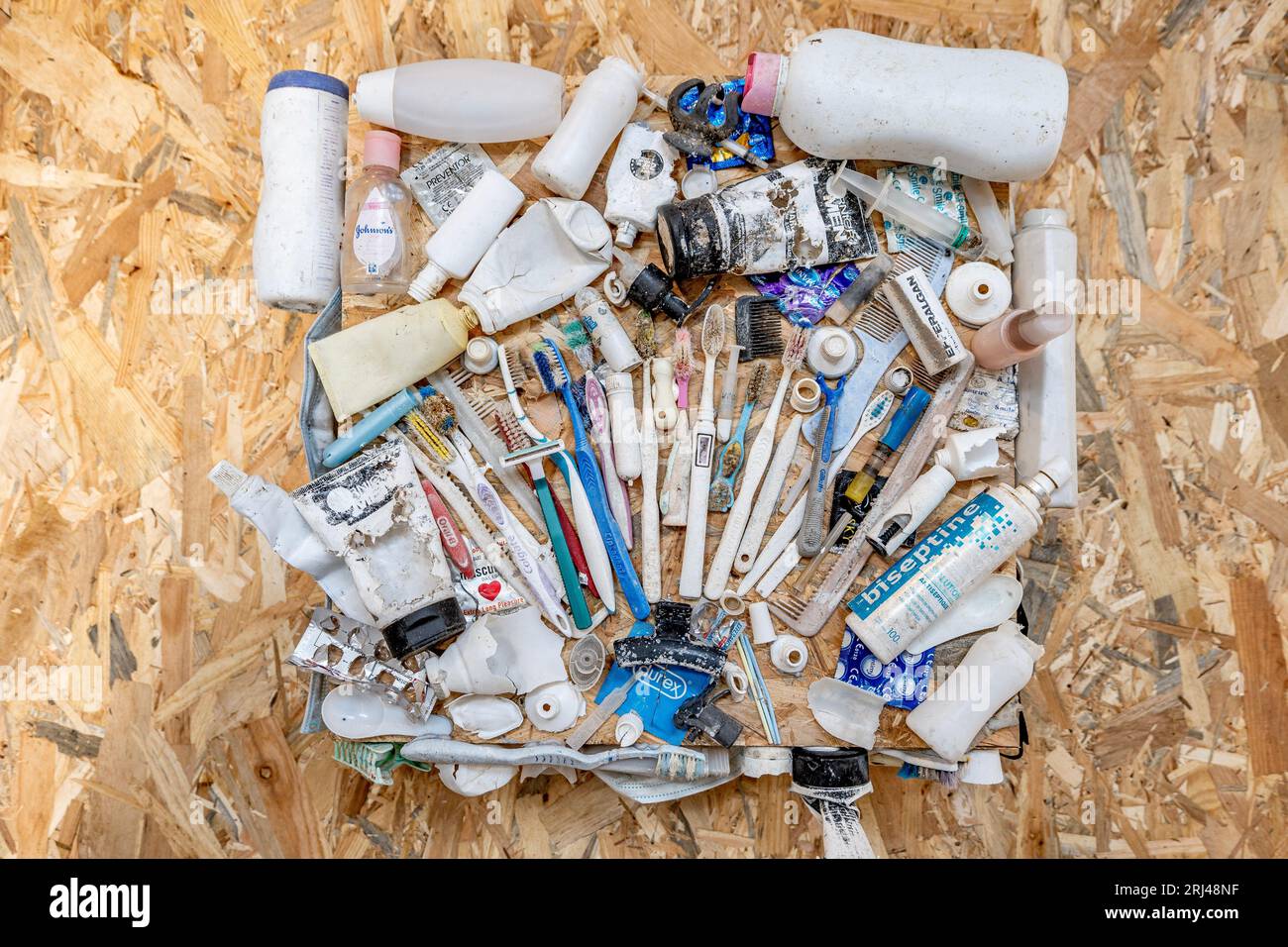 Kélonia, centre de soins aux tortues marines à la Réunion, dédié à la réhabilitation, à la conservation et à l’éducation à la protection de la vie marine. Banque D'Images