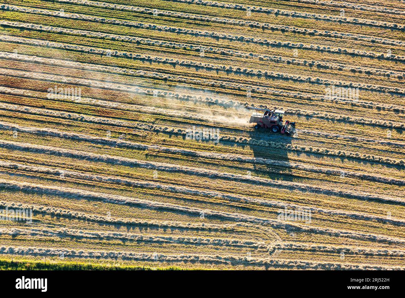 Culture commerciale du blé à Creston, dans la région de Kootenay, dans le sud-est de la Colombie-Britannique, Canada, modèles de photographies aériennes Banque D'Images