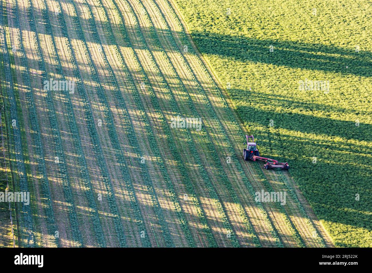Culture commerciale du blé à Creston, dans la région de Kootenay, dans le sud-est de la Colombie-Britannique, Canada, modèles de photographies aériennes Banque D'Images