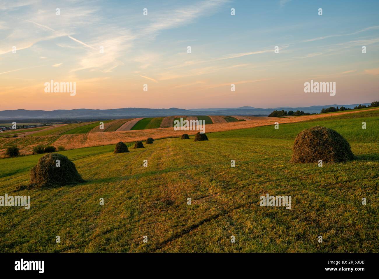 Meules de foin sur une prairie de montagne Banque D'Images