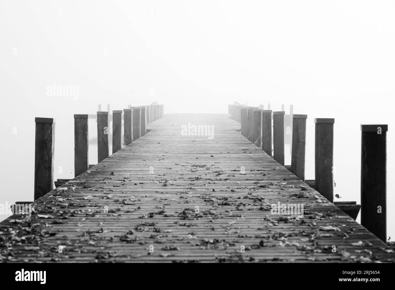 Jetée dans le brouillard. Paysage brumeux mystique au lac. Brouillard matinal en automne. Banque D'Images