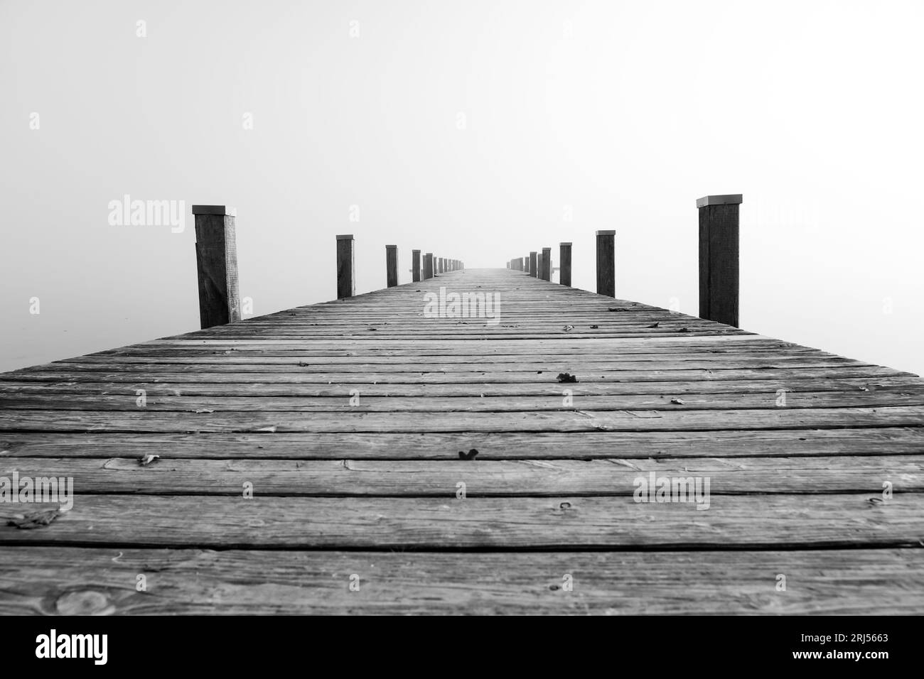 Jetée dans le brouillard. Paysage brumeux mystique au lac. Brouillard matinal en automne. Banque D'Images