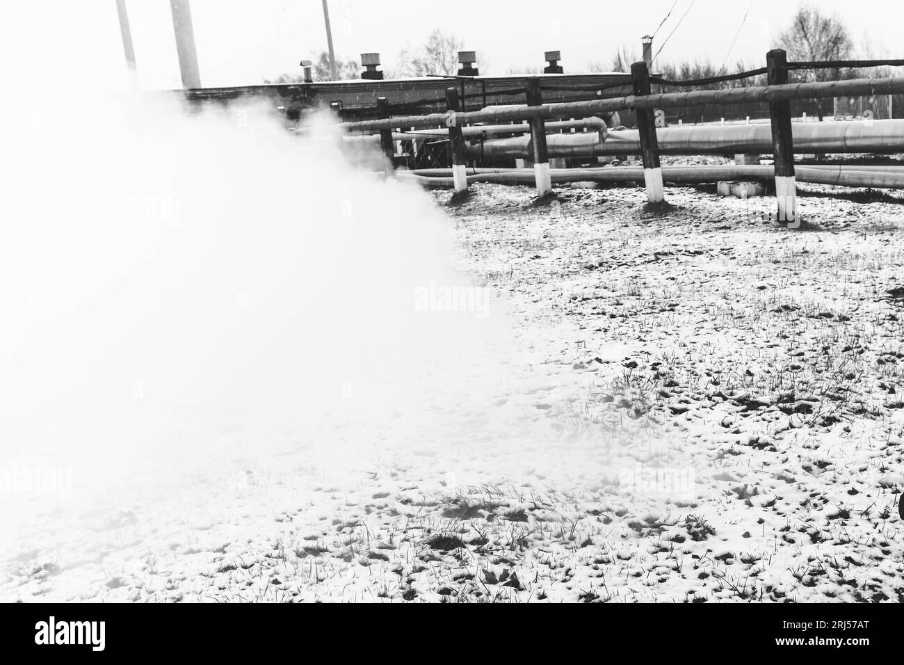 Râtelier à tuyaux avec tuyaux dans la vapeur haute pression surchauffée dans une usine chimique pétrochimique de raffinerie de pétrole. Banque D'Images