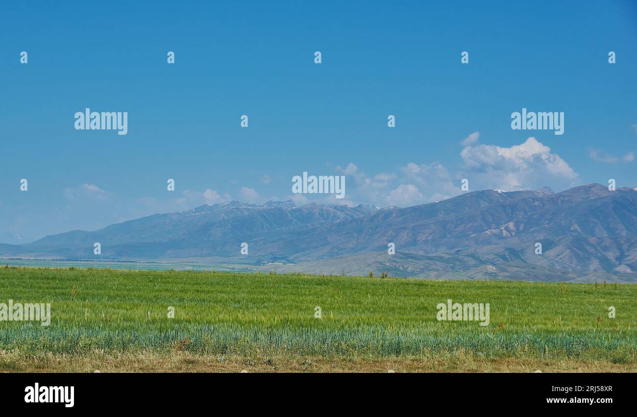 Vallée Suusamyr , Paysage de montagne. Le Kirghizistan. Banque D'Images