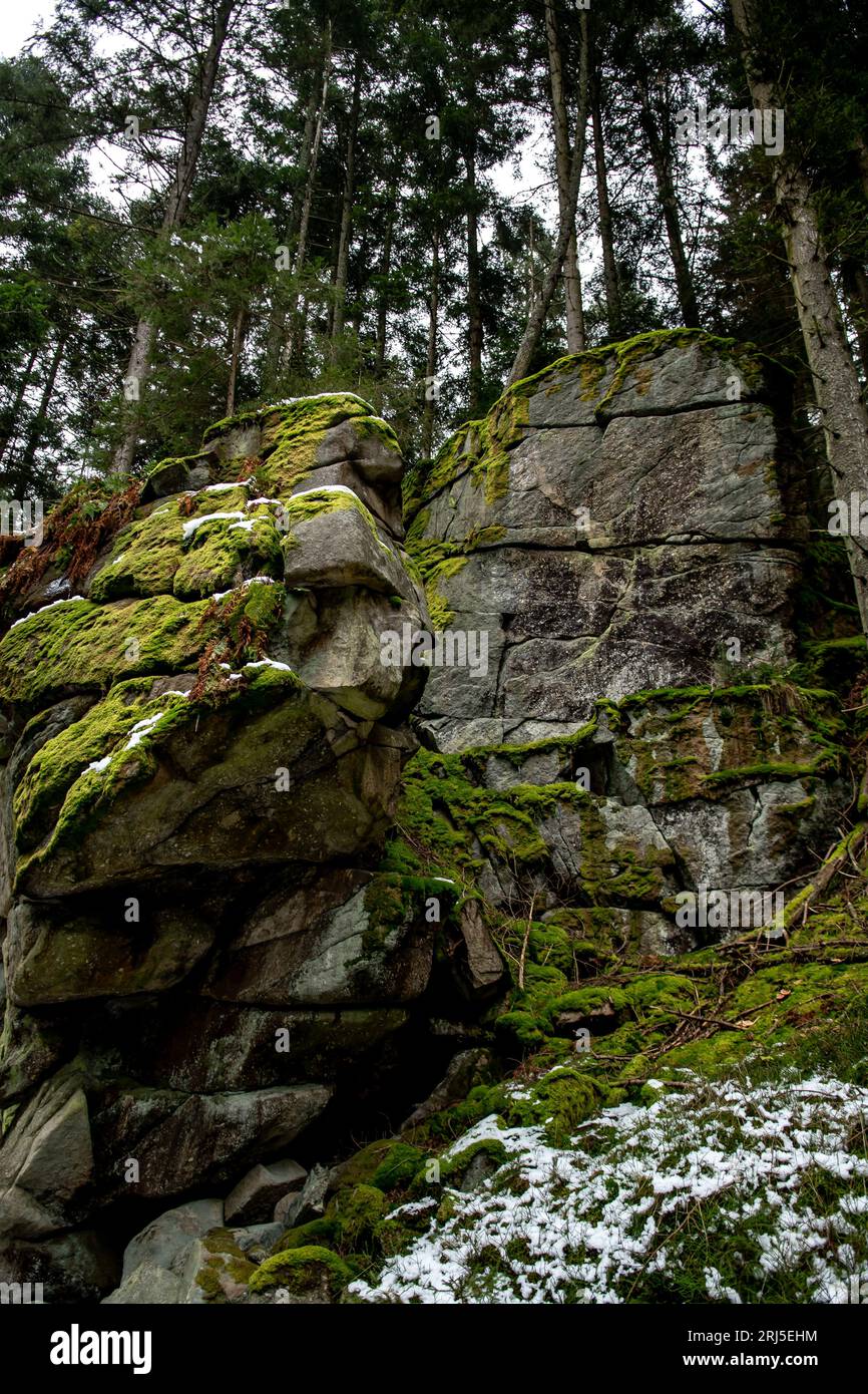 Forêt de conifères abandonnée avec des massifs de granit en Basse-Autriche (Waldviertel) en Autriche Banque D'Images