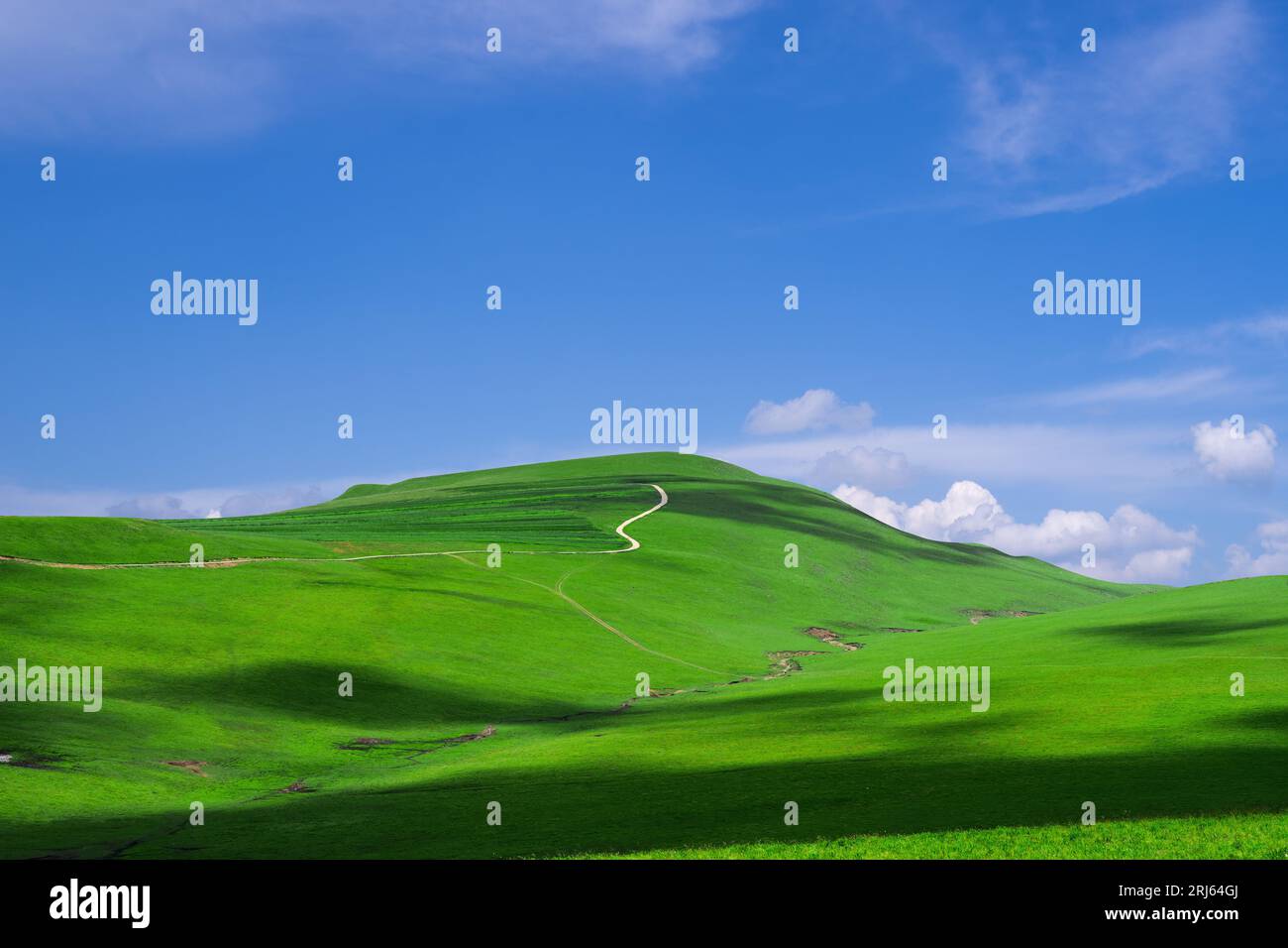 Une vue panoramique sur une colline en pente avec de l'herbe verte vibrante, entourée d'un ciel bleu clair Banque D'Images