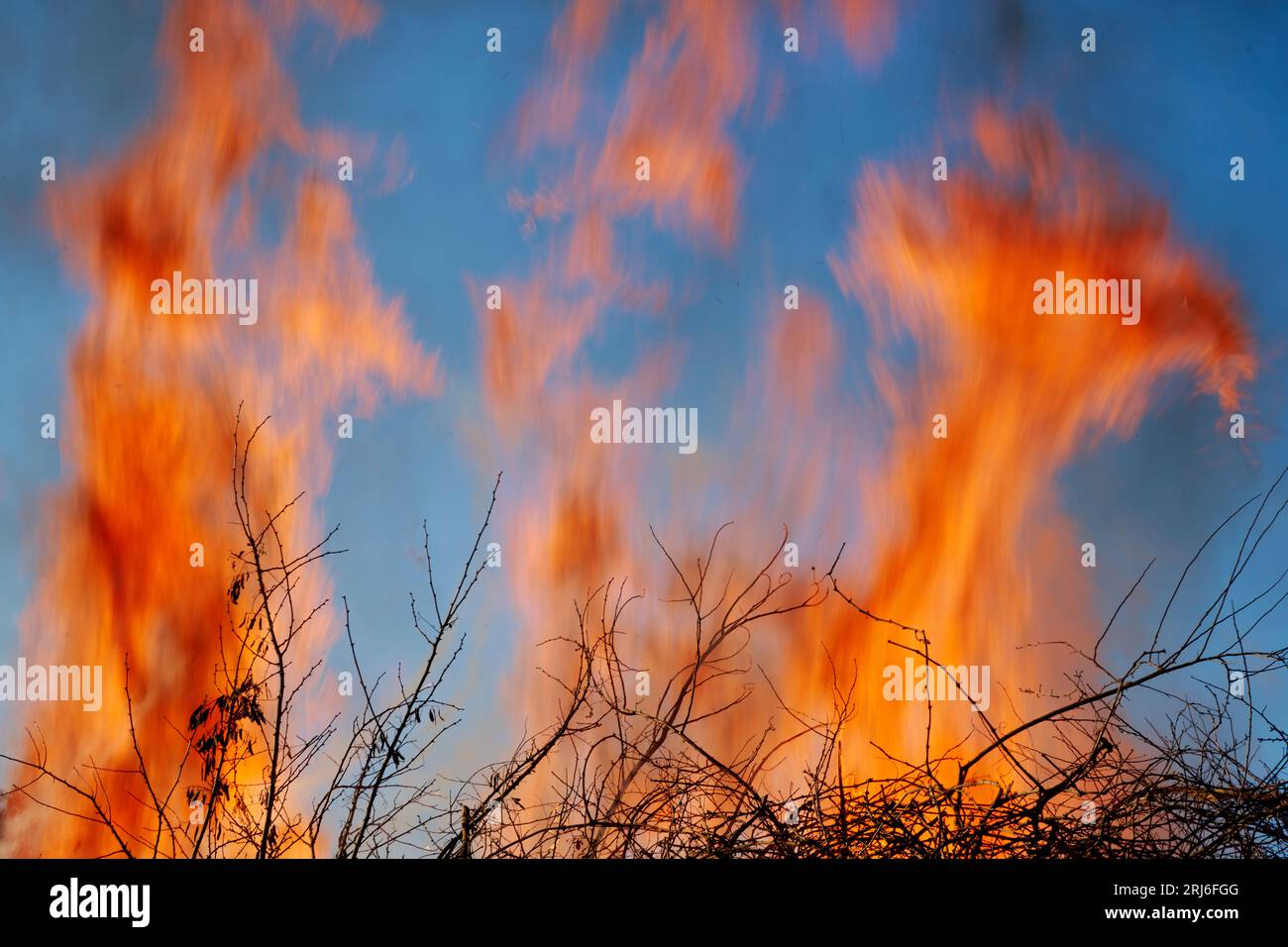 Flammes d'un feu intense atteignant un ciel bleu clair. Mouvement flou de flammes pour le drame. Banque D'Images