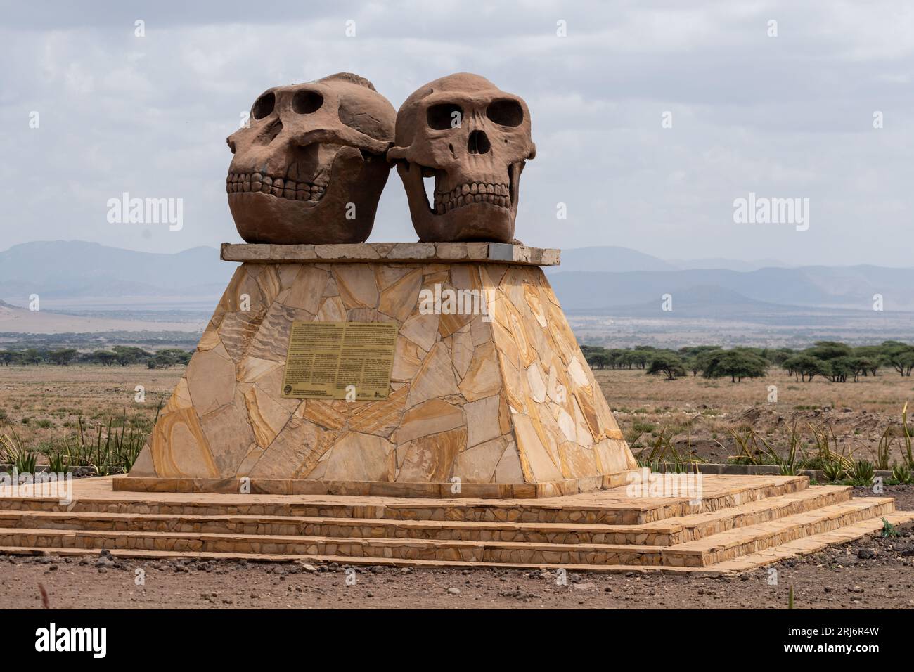 Tanzanie, Afrique - 12 mars 2023 : statue au musée de la gorge d'Olduvai (zone de conservation de Ngorongoro). Crânes humains de Paranthropus et Homo Habilis Banque D'Images