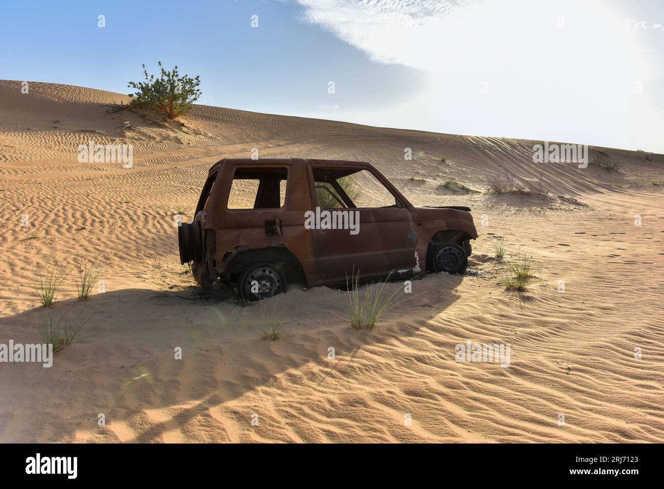 Vue latérale de l'épave de voiture brûlée sur une piste dans le désert entre les dunes, Scorched car Wreck dans le désert Banque D'Images