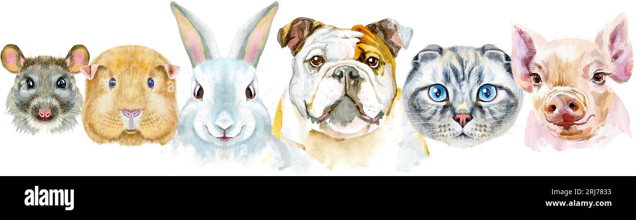 Bordure pour animaux de compagnie. Dessin aquarelle peint à la main, isoler clip art sur fond blanc. Conception de bannière Banque D'Images