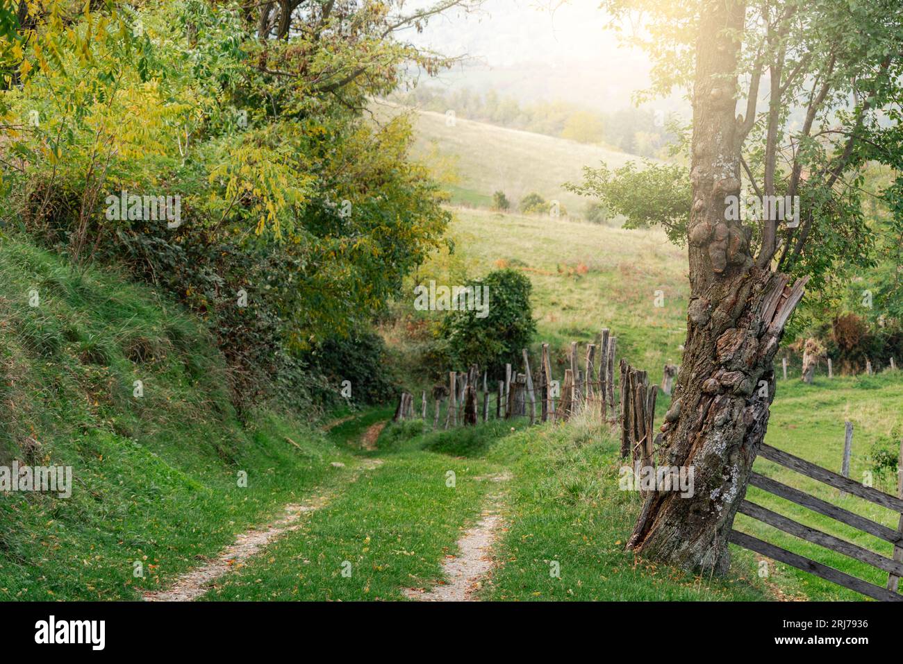 Chemin dans les montagnes d'automne. Banque D'Images