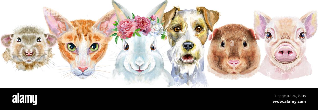 Bordure pour animaux de compagnie. Dessin aquarelle peint à la main, isoler clip art sur fond blanc. Conception de bannière Banque D'Images