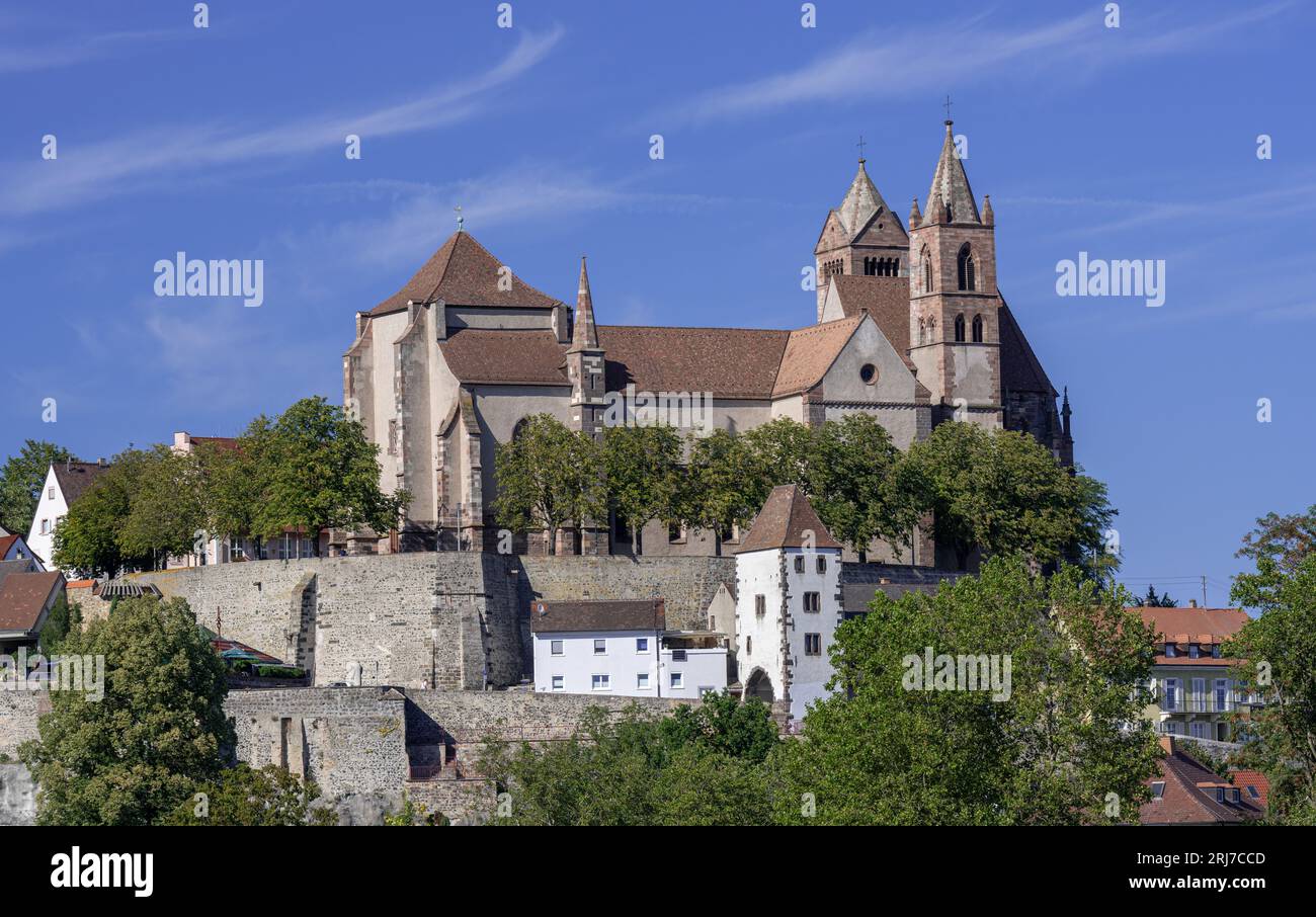 Vue sur le Rhin jusqu'à la colline de Münsterberg avec St. Cathédrale de Stephansmünster, Breisach am Rhein, Kaiserstuhl, Breisgau, Forêt Noire, Baden-Wuer Banque D'Images