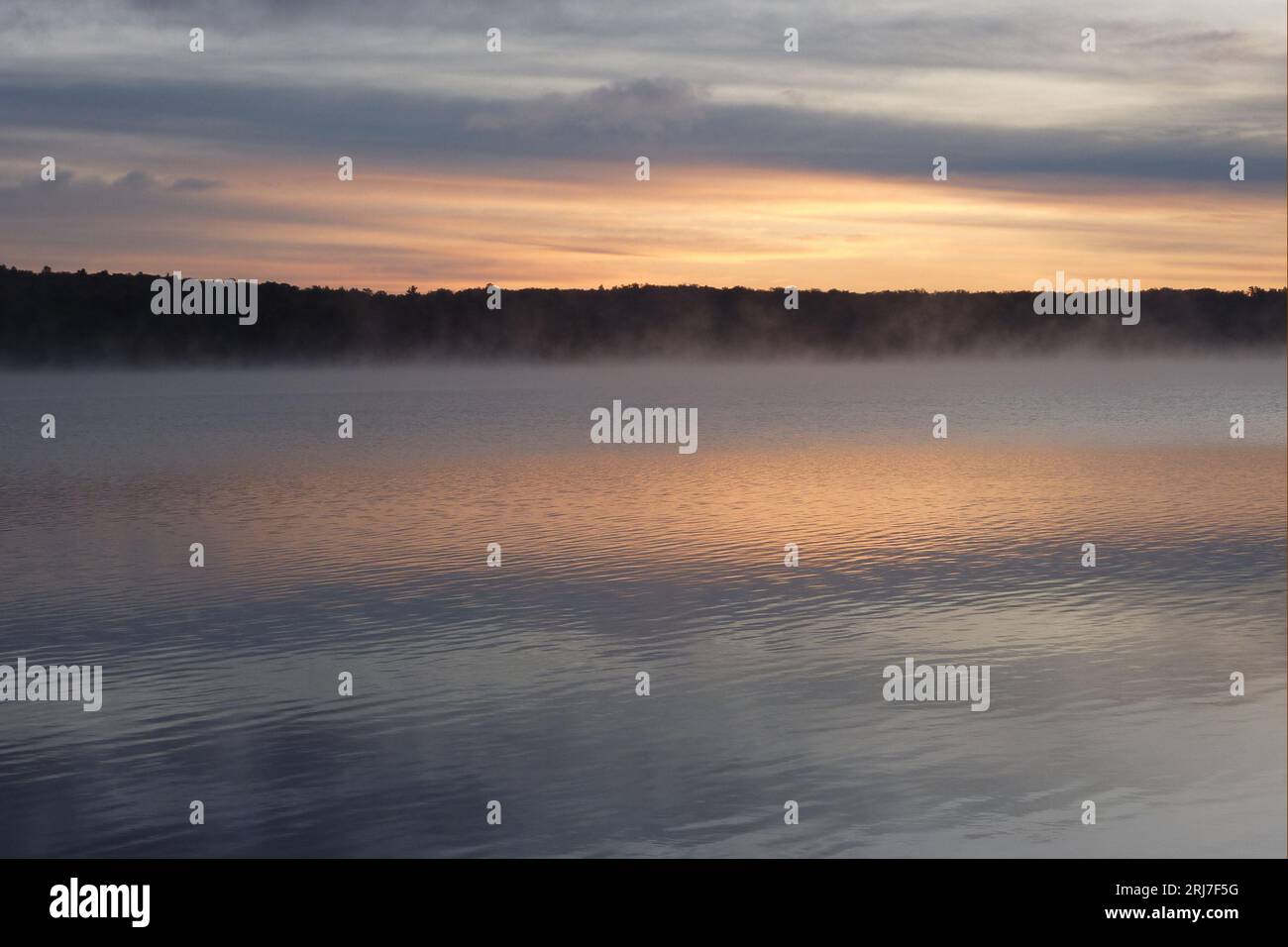 Lac brumeux tôt le matin dans le Wisconsin supérieur, États-Unis. Le brouillard évoque un sentiment spirituel de félicité. Banque D'Images