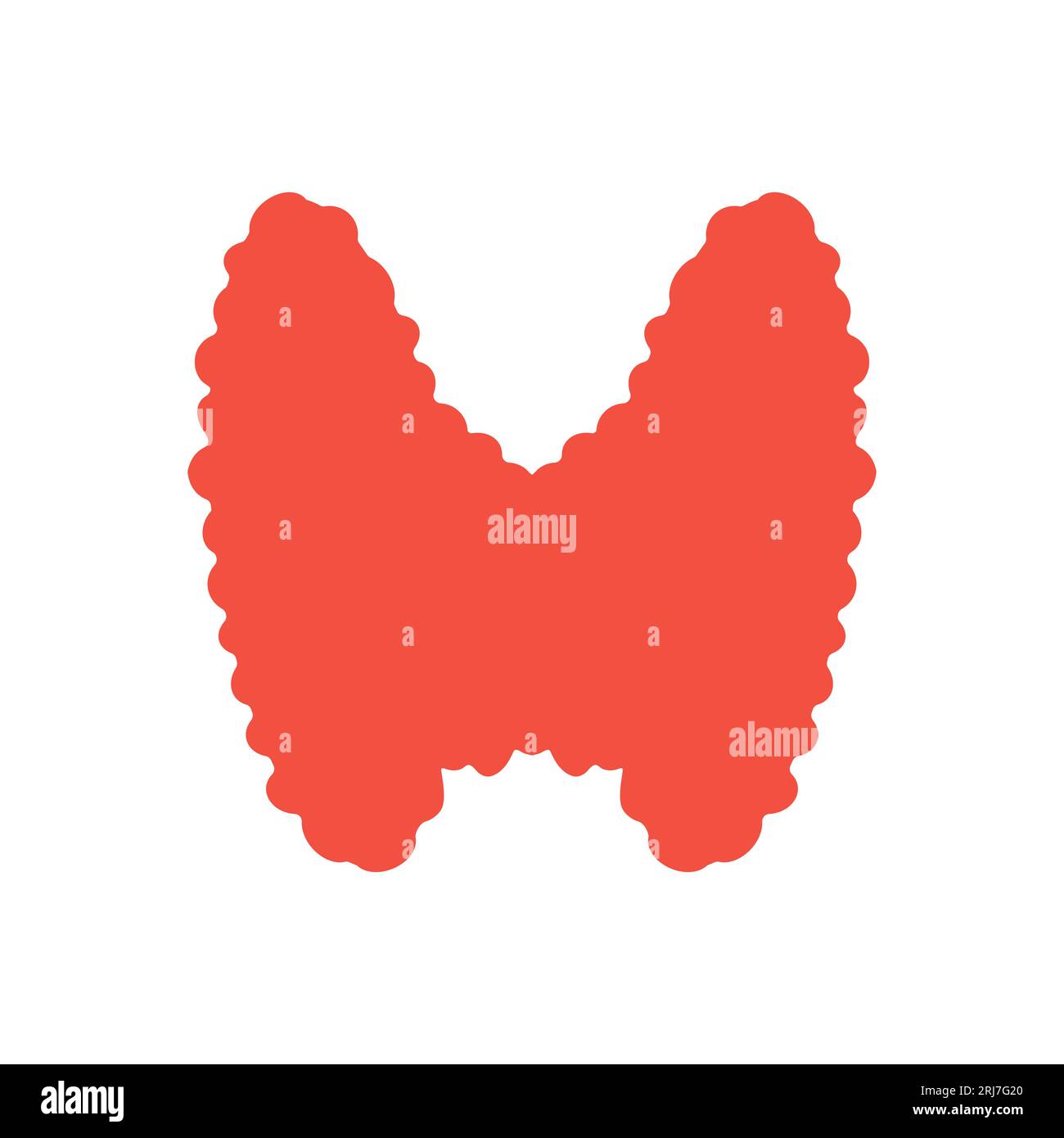 Schéma de silhouette de la glande thyroïde en bonne santé sur le cou Illustration de Vecteur