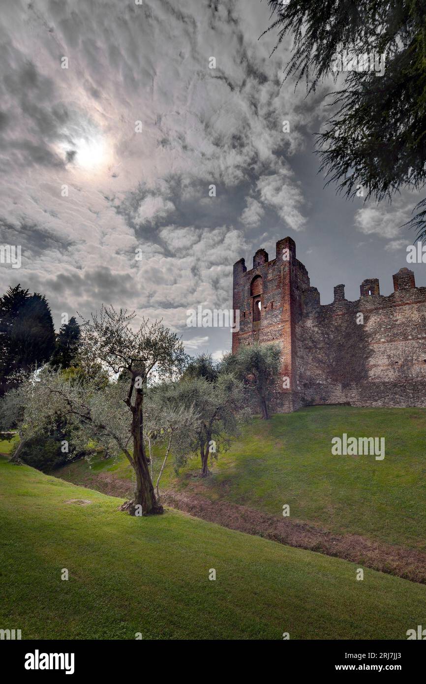Vue spectaculaire sur le parc public et mur d'enceinte médiéval du petit village de Lazise, station touristique sur la côte du lac de Garde (Lago di Garda). Vero Banque D'Images Vue spectaculaire sur le parc public et mur d'enceinte médiéval du petit village de Lazise, station touristique sur la côte du lac de Garde (Lago di Garda). Vero Banque D'Images