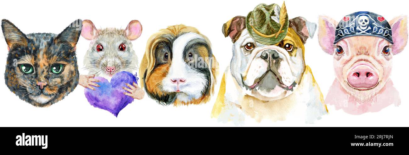 Bordure pour animaux de compagnie. Dessin aquarelle peint à la main, isoler clip art sur fond blanc. Conception de bannière Banque D'Images