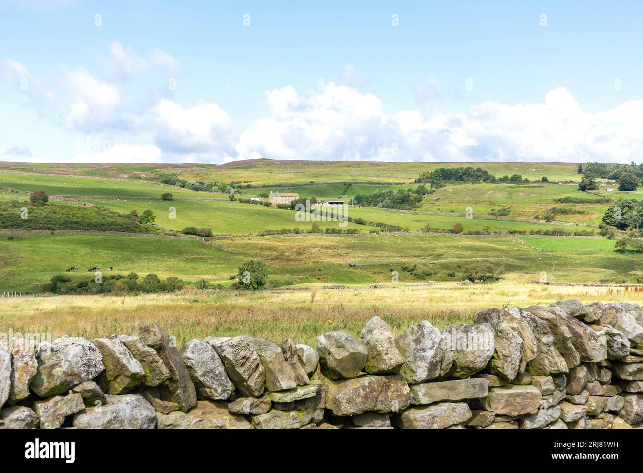 Paysage avec ferme dans les Pennines du Nord près de Stanhope, comté de Durham, Angleterre, Royaume-Uni Banque D'Images