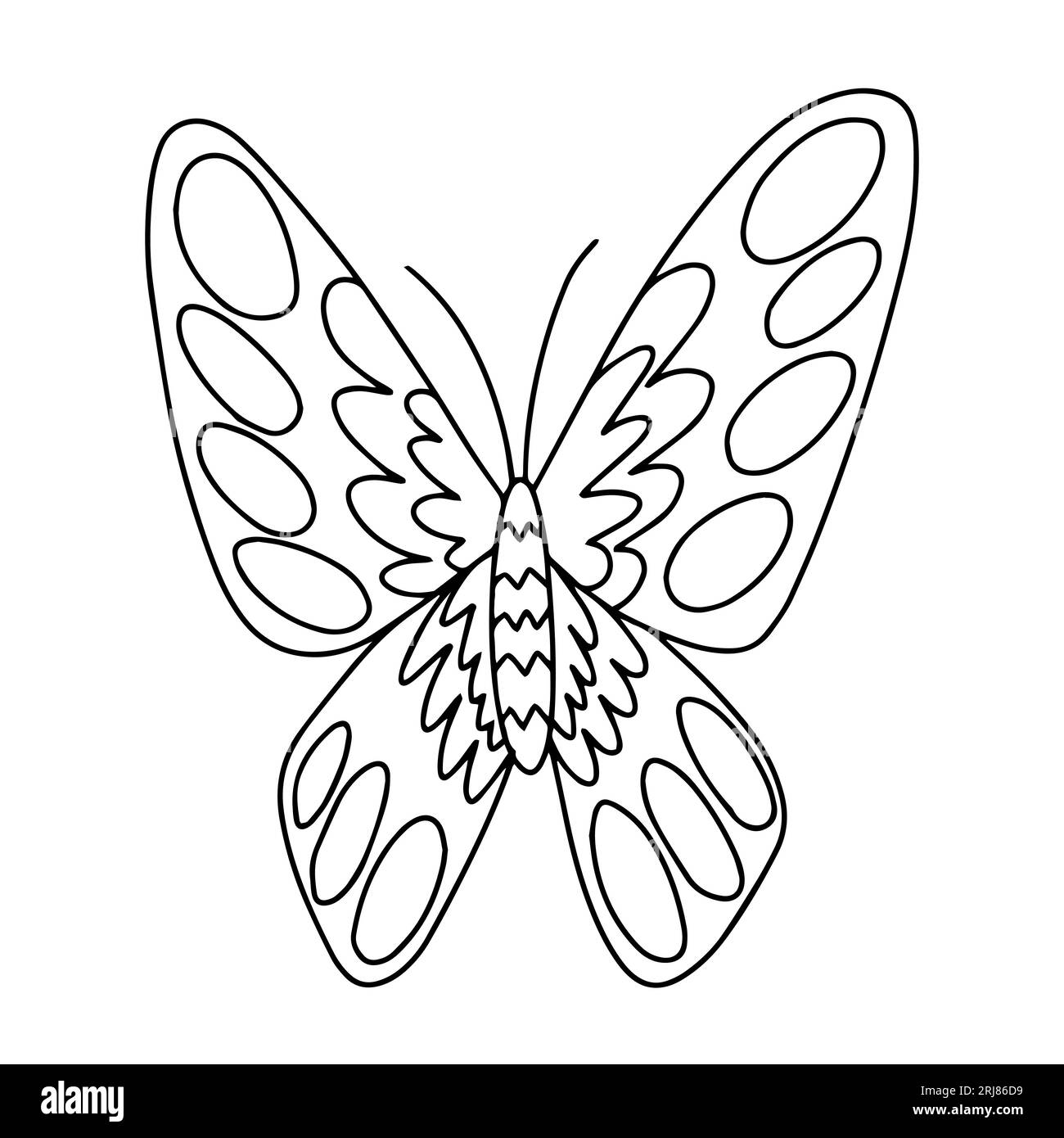 papillon Illustration de Vecteur