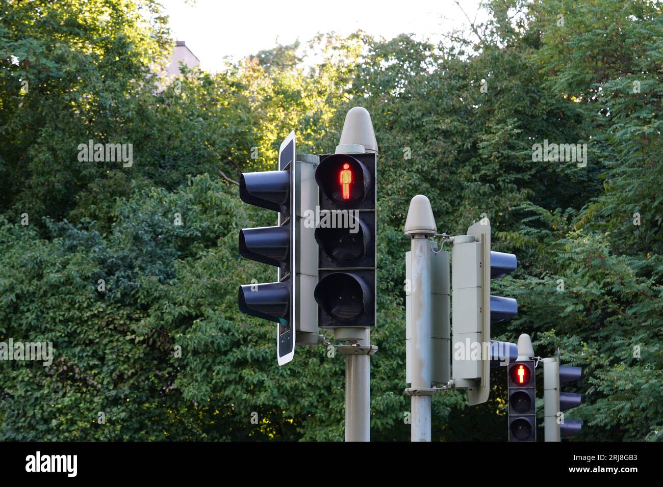 Vue sur le feu de circulation piéton avec le signal d'arrêt rouge en forme d'homme. Derrière se trouvent d'autres sémaphores et une végétation dense verte et des arbres. Banque D'Images