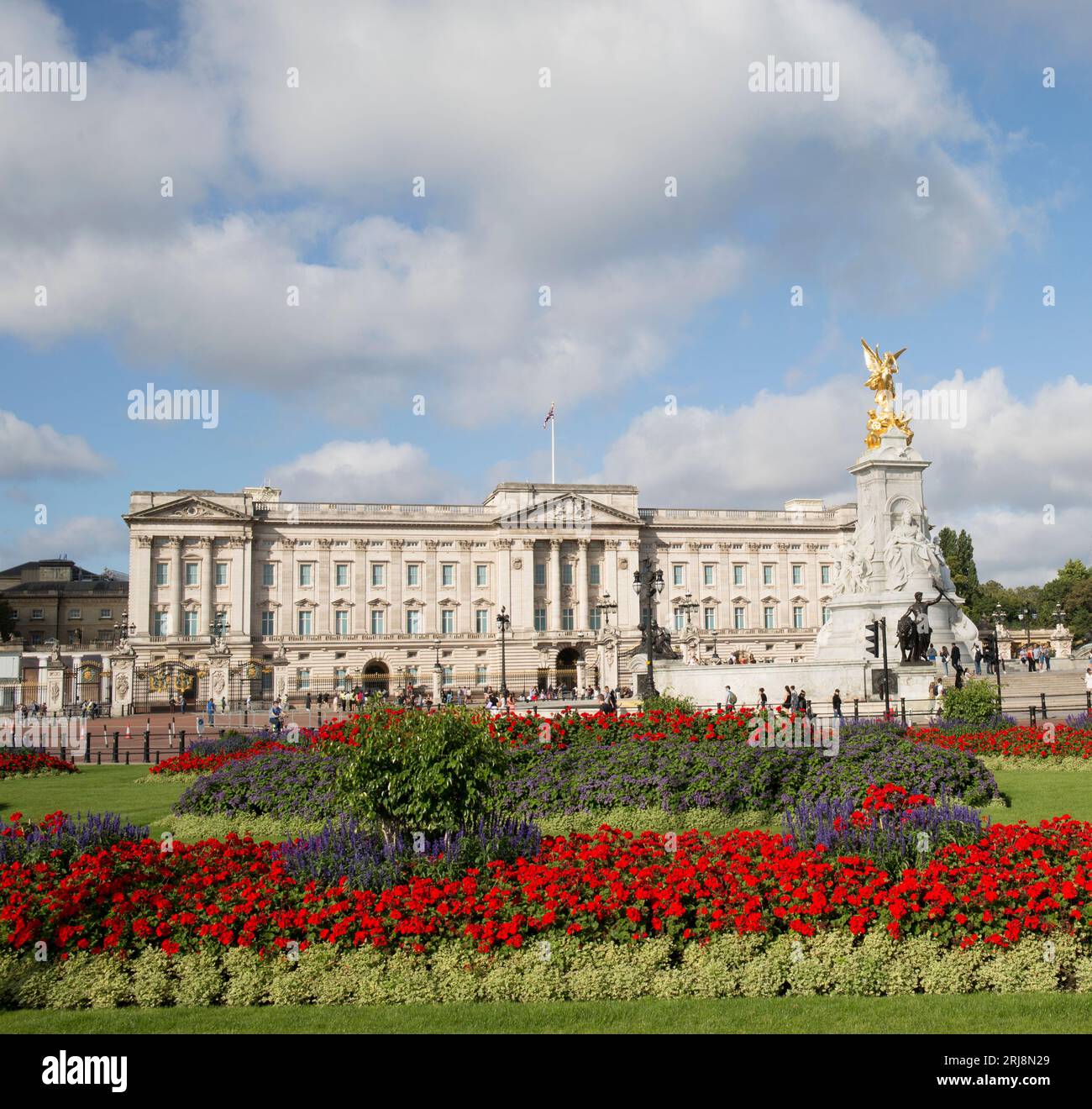 Red Geraniums Gardens en face de Buckingham Palace London Banque D'Images