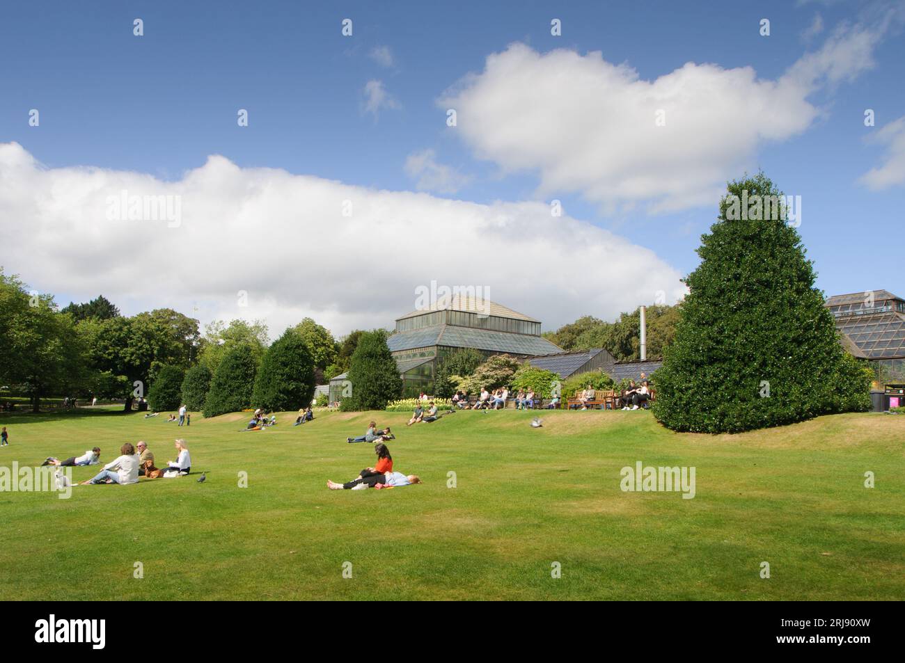 Glasgow Botanic Gardens est situé au cœur du West End de la ville près de la rivière Kelvin et contient une variété de collections de plantes Banque D'Images