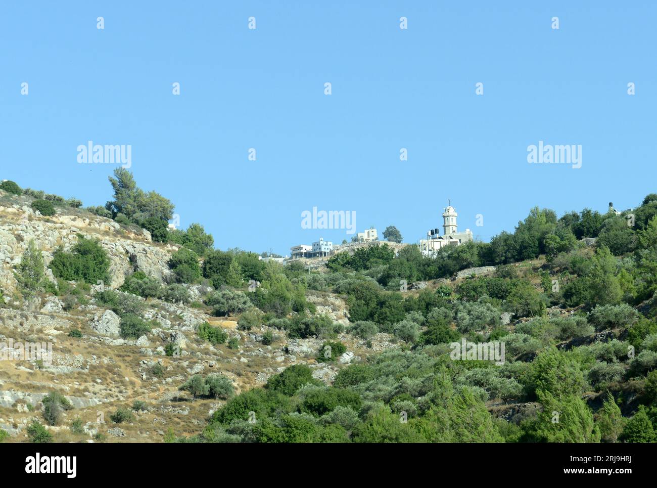 Paysages de Judée dans la région de Beit Jala en Palestine. Banque D'Images