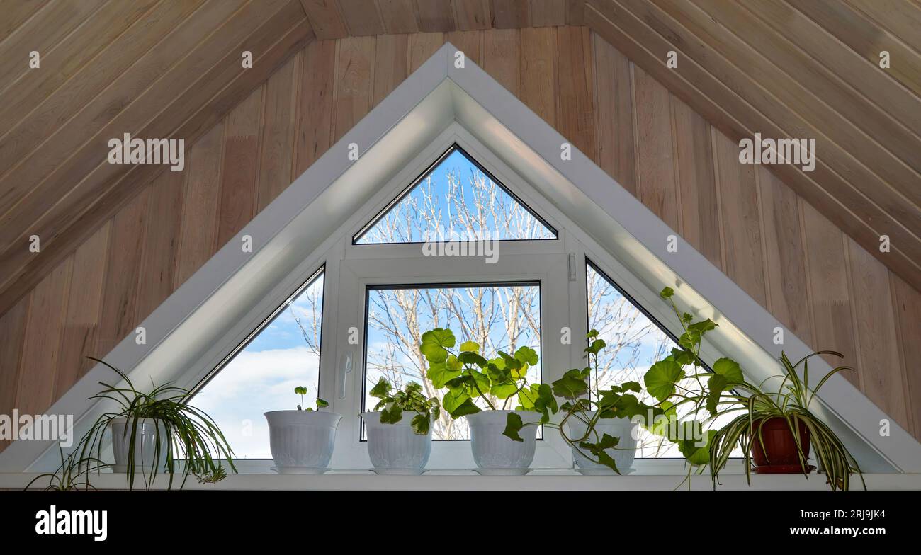 Fenêtre triangulaire avec plantes d'intérieur sur le rebord de la fenêtre. Ciel bleu et vue sur les arbres. Intérieur avec garniture en bois Banque D'Images