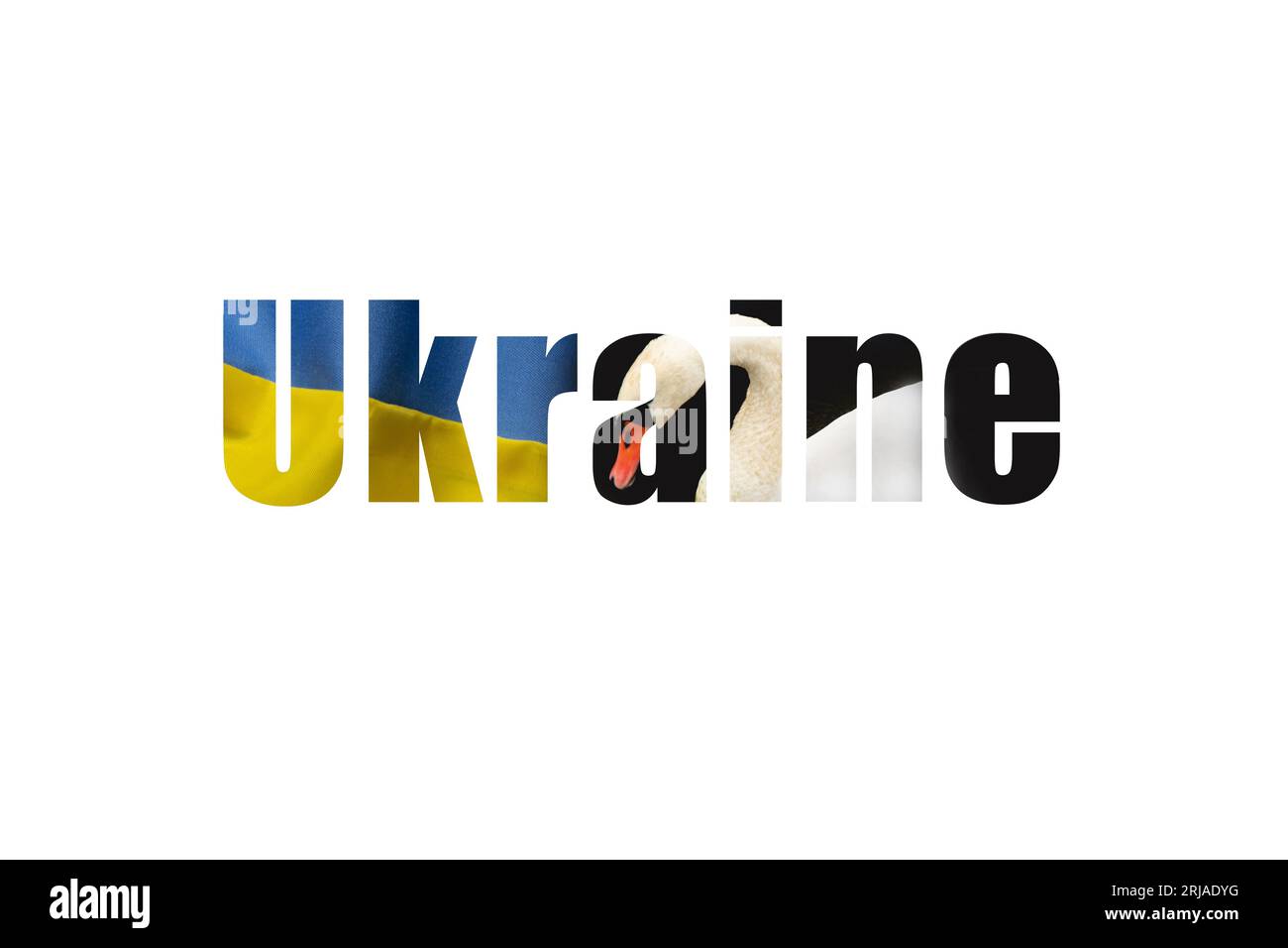Texte de la texture du drapeau de l'Ukraine et cygne sur les lettres sur fond blanc de l'Ukraine comme fond, fond de texte Banque D'Images