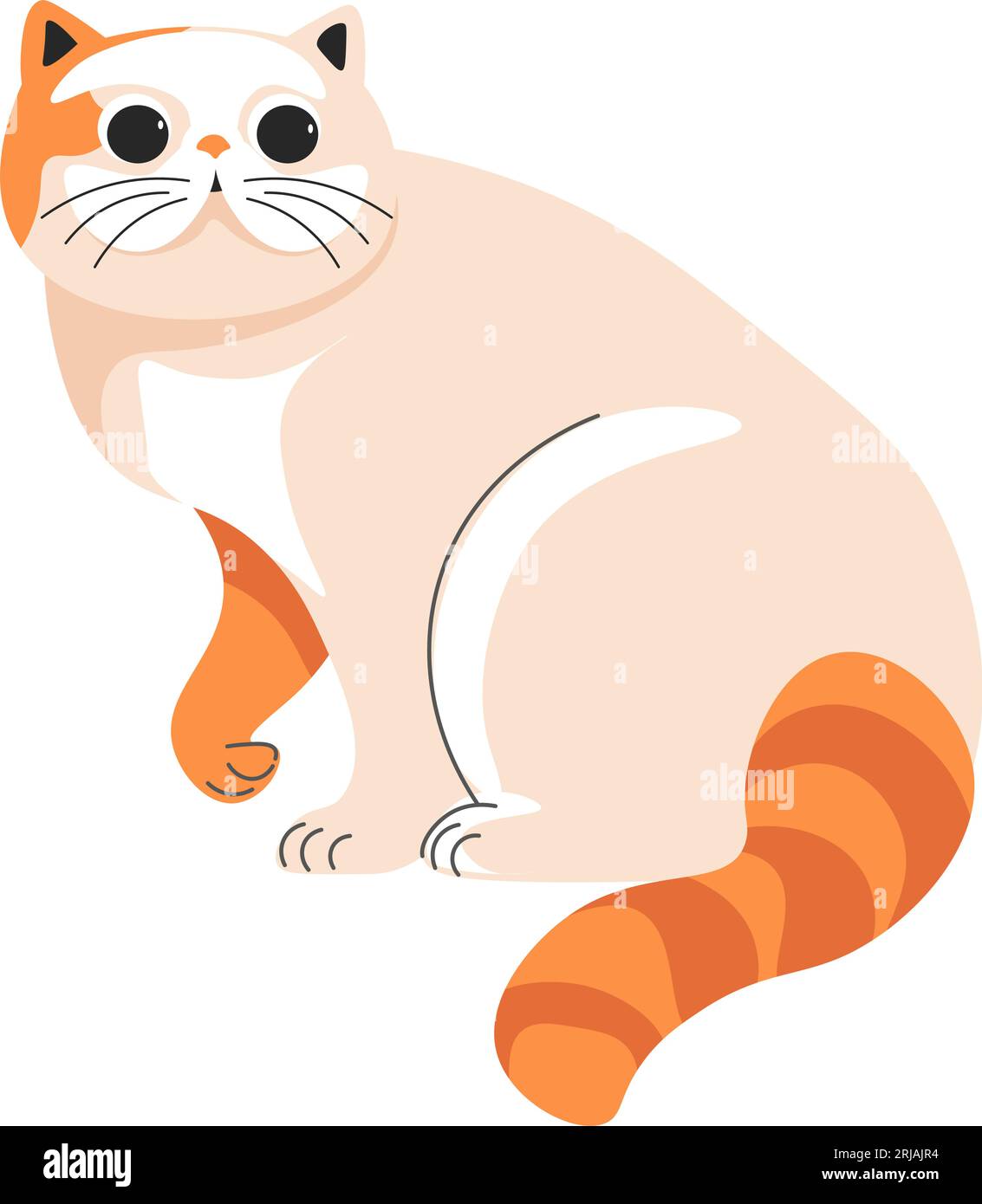 Portrait de chat de Munchkin d'animal félin, vecteur Illustration de Vecteur