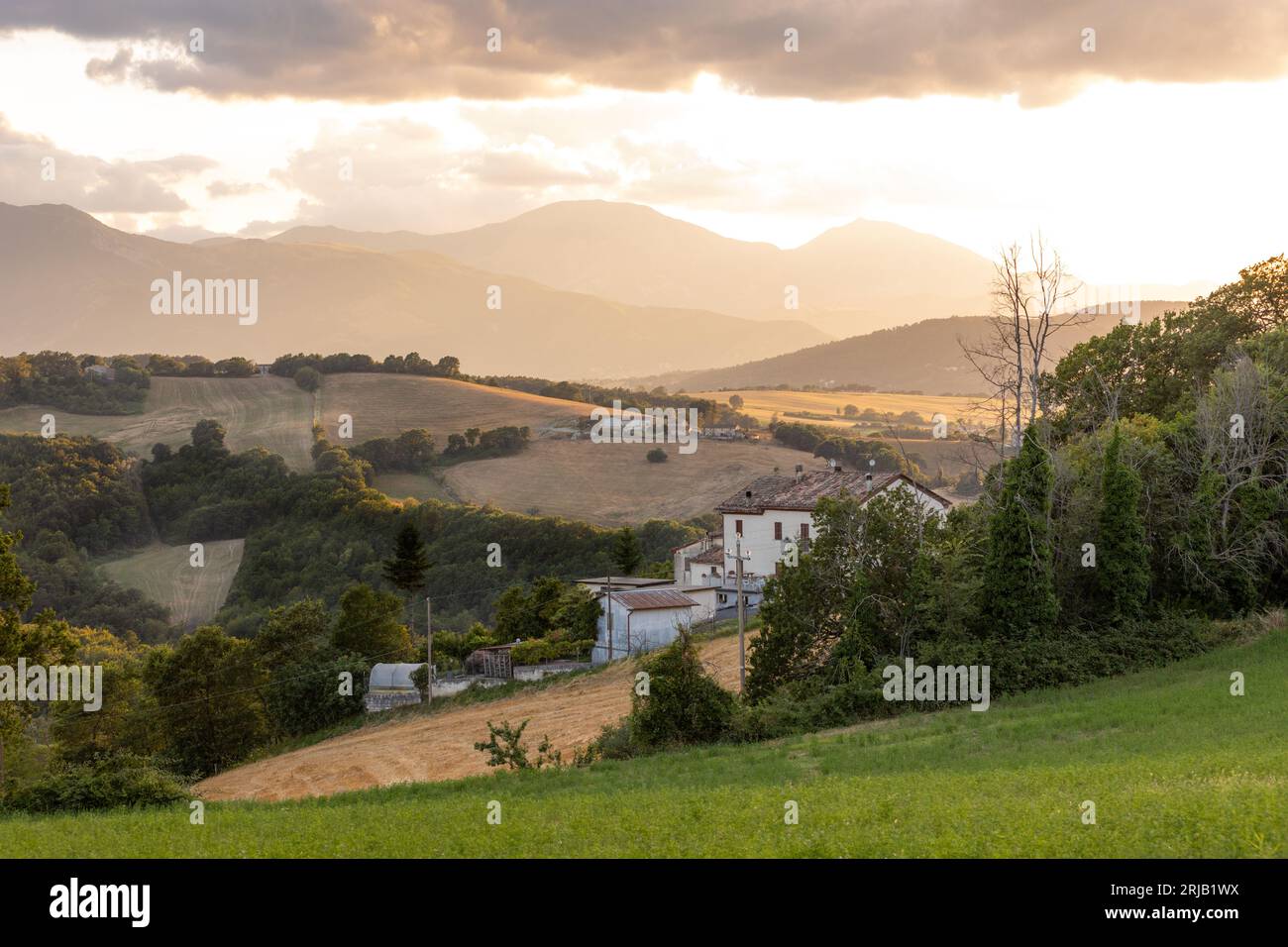 Lever de soleil sur les collines du village de Santo Stefano dans la province d'Ancône dans la région des Marches en Italie. Banque D'Images