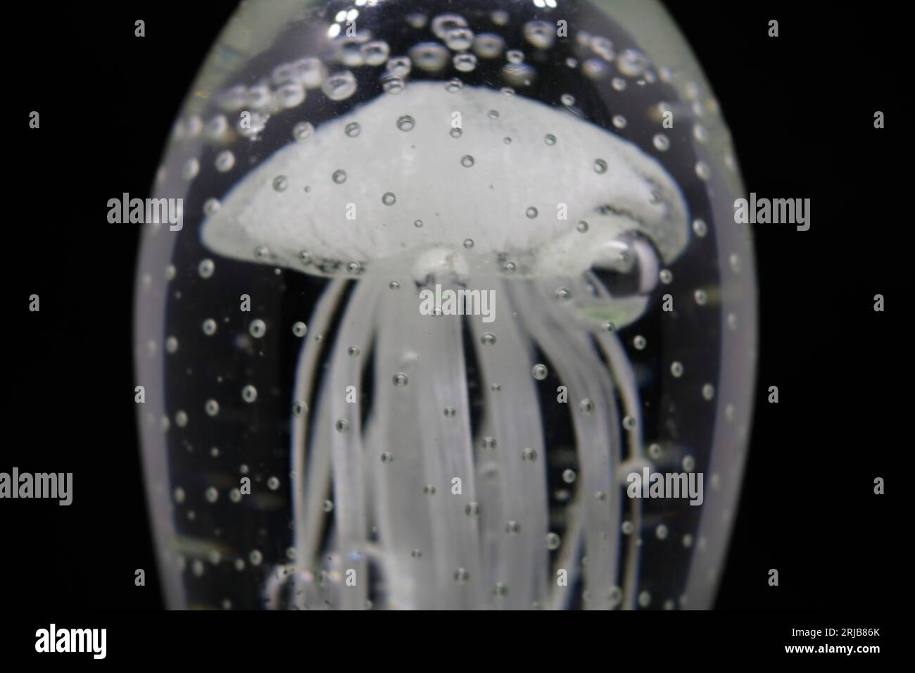 Une gelée transparente dans un récipient transparent avec des bulles sur le fond noir Banque D'Images