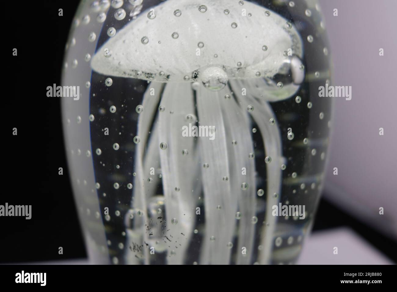 Une gelée transparente dans un récipient transparent avec des bulles sur le fond noir Banque D'Images